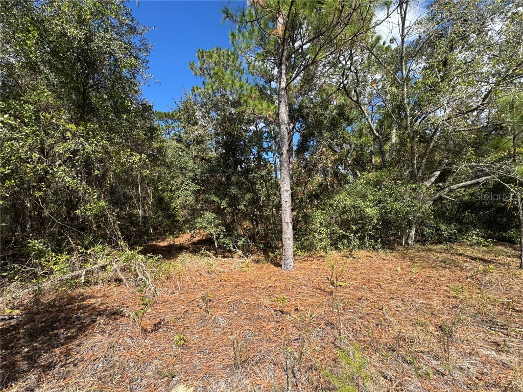 3341 W Wilhelm Street Citrus Springs FL 34433 TB8431326 image7