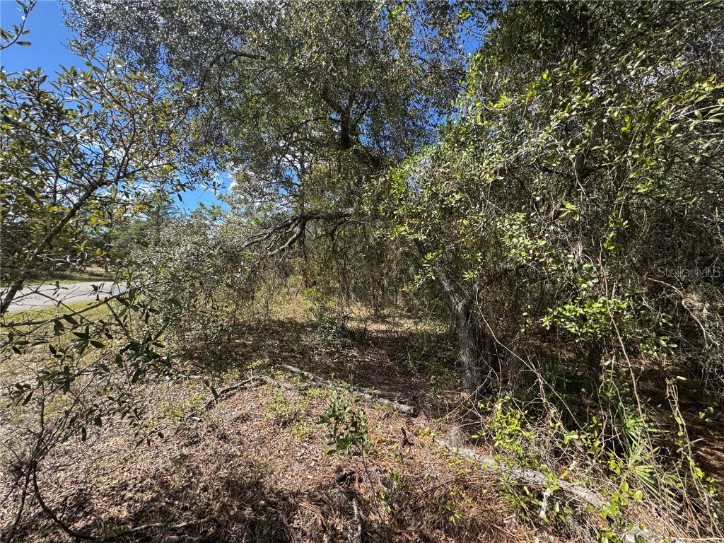 3341 W Wilhelm Street Citrus Springs FL 34433 TB8431326 image9