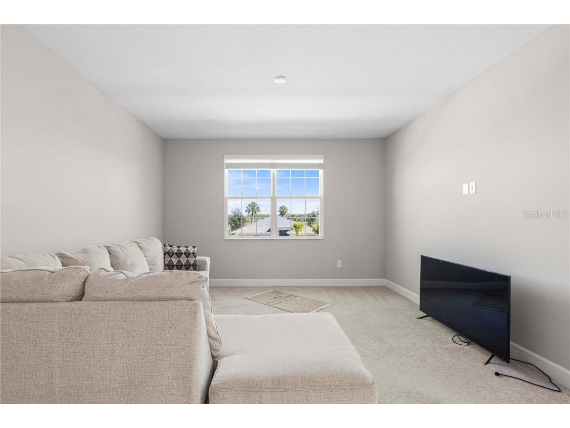 3341 Woodland Brook Way Wesley Chapel FL 33543 TB8456286 image25