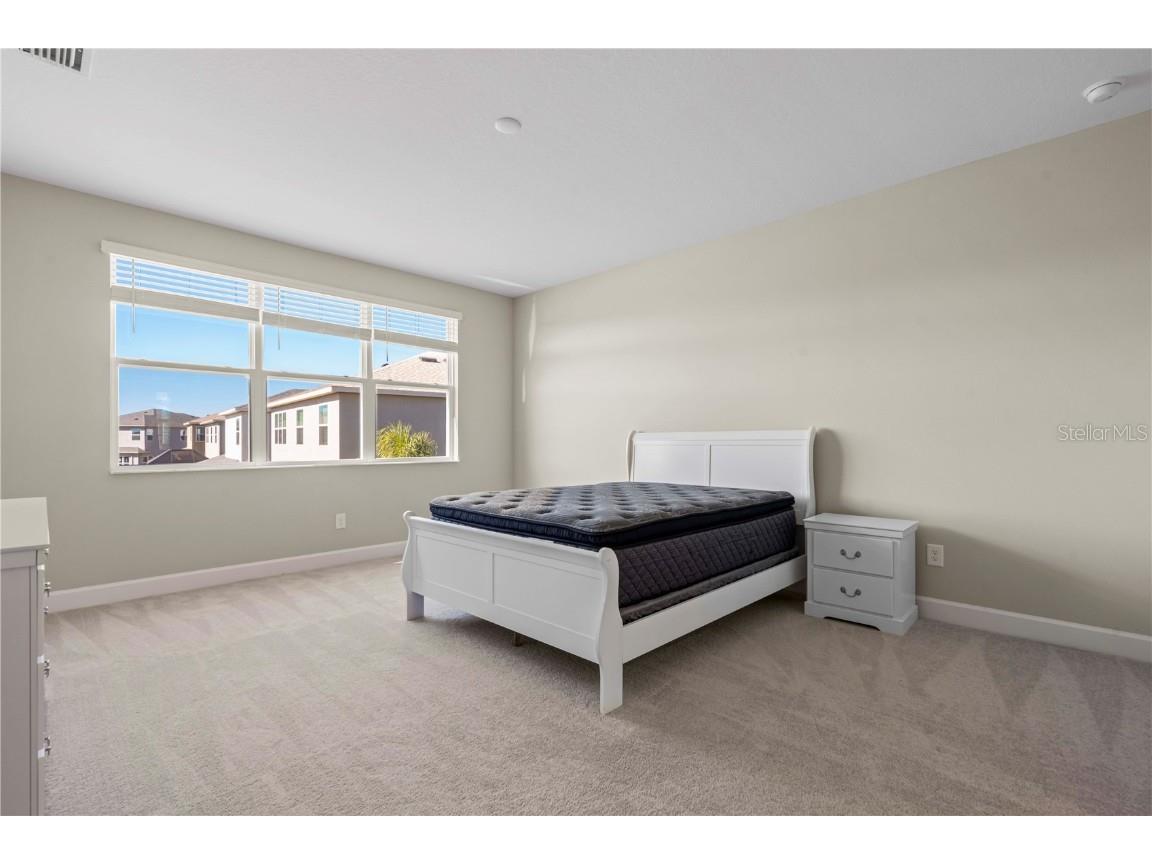 3341 Woodland Brook Way Wesley Chapel FL 33543 TB8456286 image27