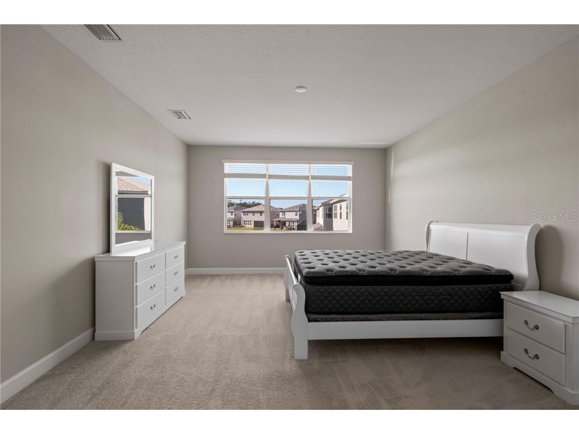 3341 Woodland Brook Way Wesley Chapel FL 33543 TB8456286 image28