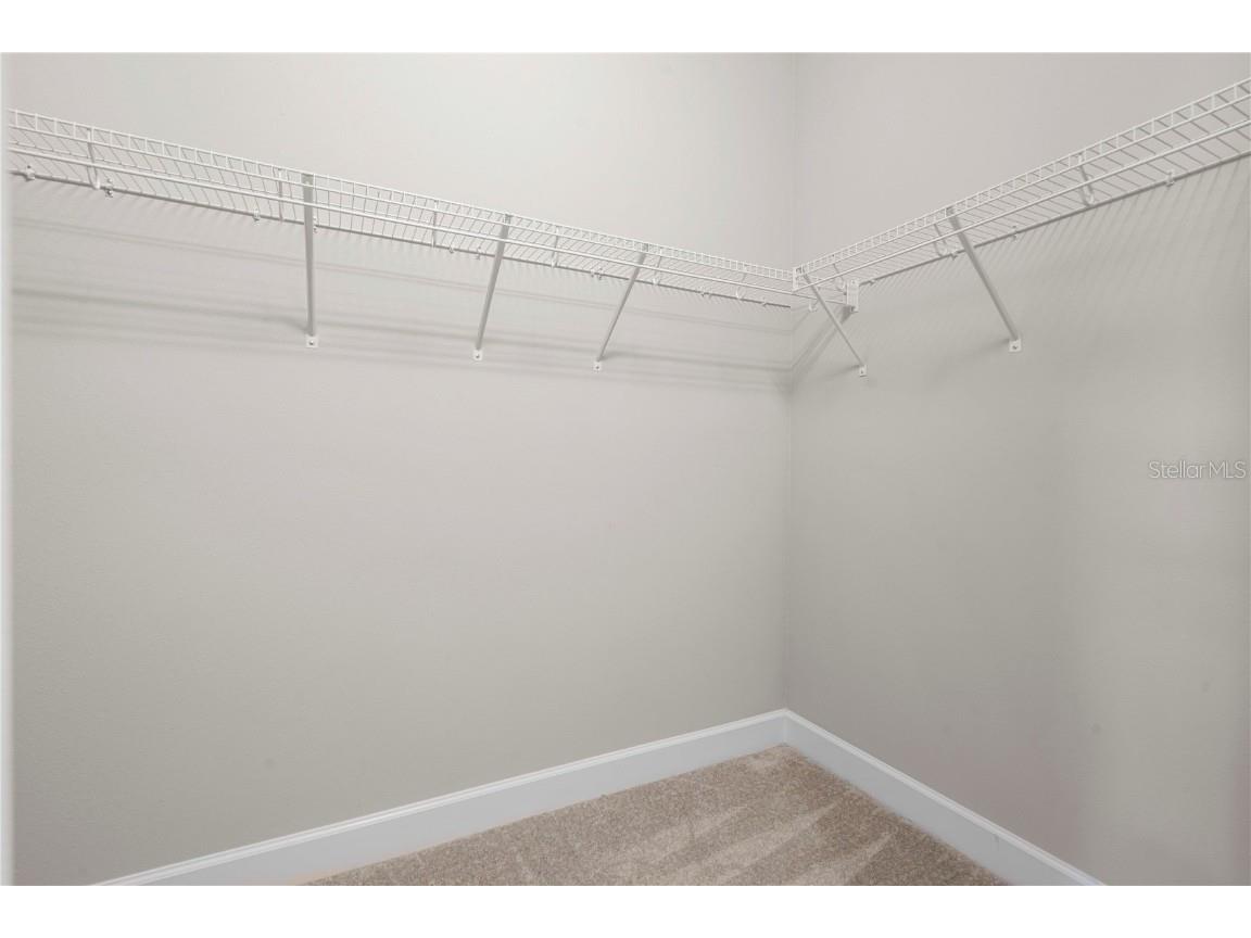 3341 Woodland Brook Way Wesley Chapel FL 33543 TB8456286 image29