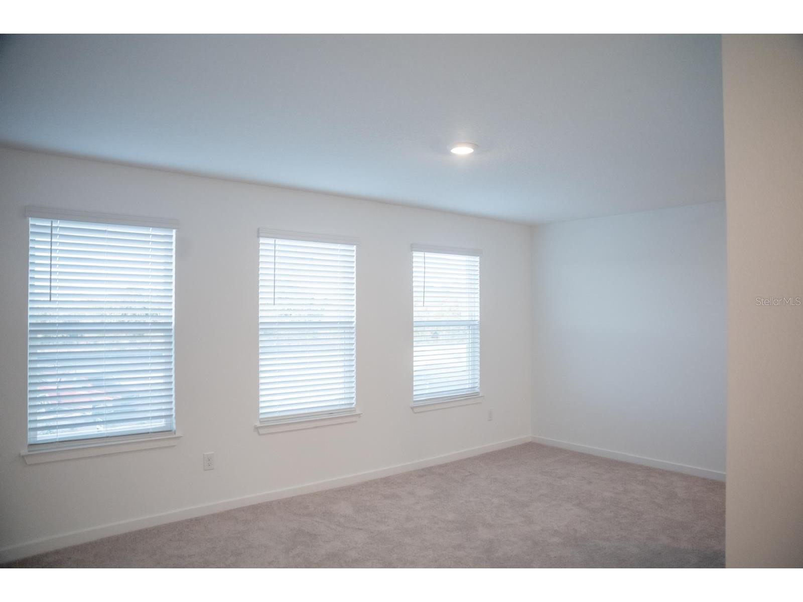33410 Barnebrook Drive Wesley Chapel FL 33545 TB8508053 image12