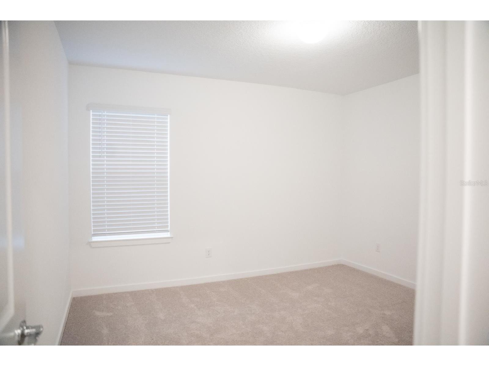 33410 Barnebrook Drive Wesley Chapel FL 33545 TB8508053 image16