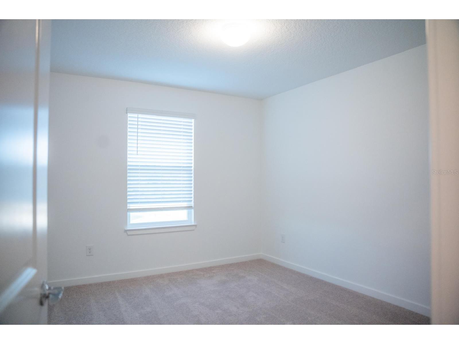 33410 Barnebrook Drive Wesley Chapel FL 33545 TB8508053 image19