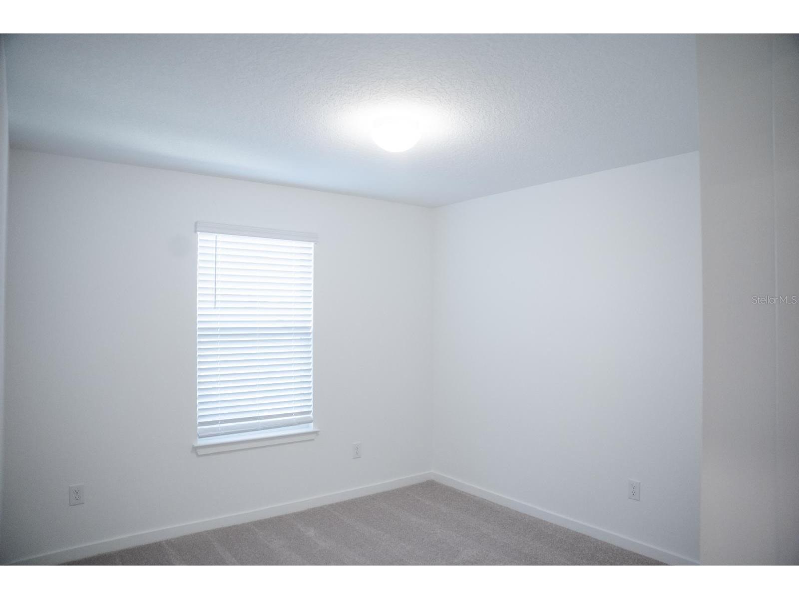 33410 Barnebrook Drive Wesley Chapel FL 33545 TB8508053 image5