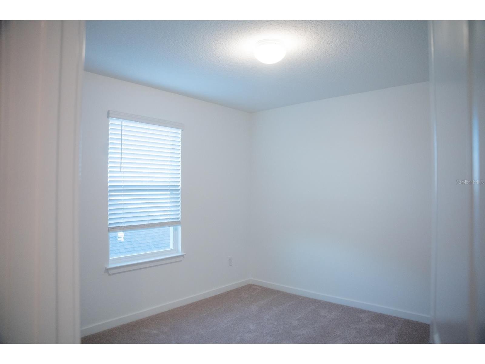 33410 Barnebrook Drive Wesley Chapel FL 33545 TB8508053 image7