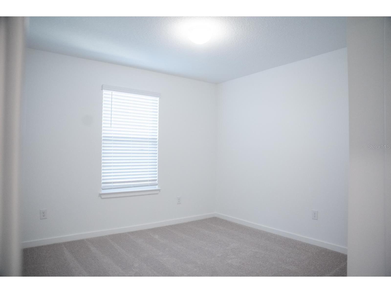 33410 Barnebrook Drive Wesley Chapel FL 33545 TB8508053 image9