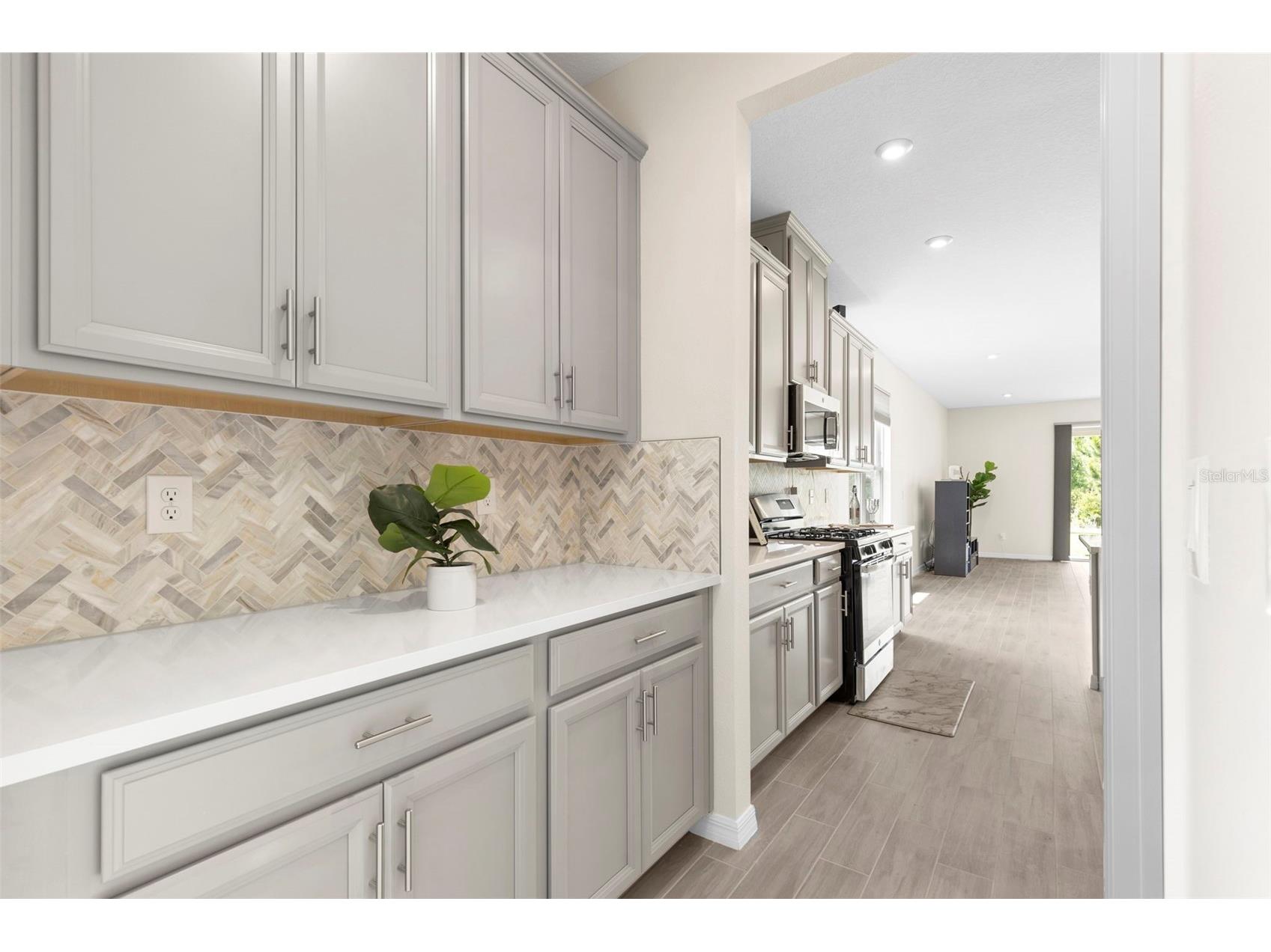 33410 Castaway Loop Wesley Chapel FL 33543 TB8500902 image14