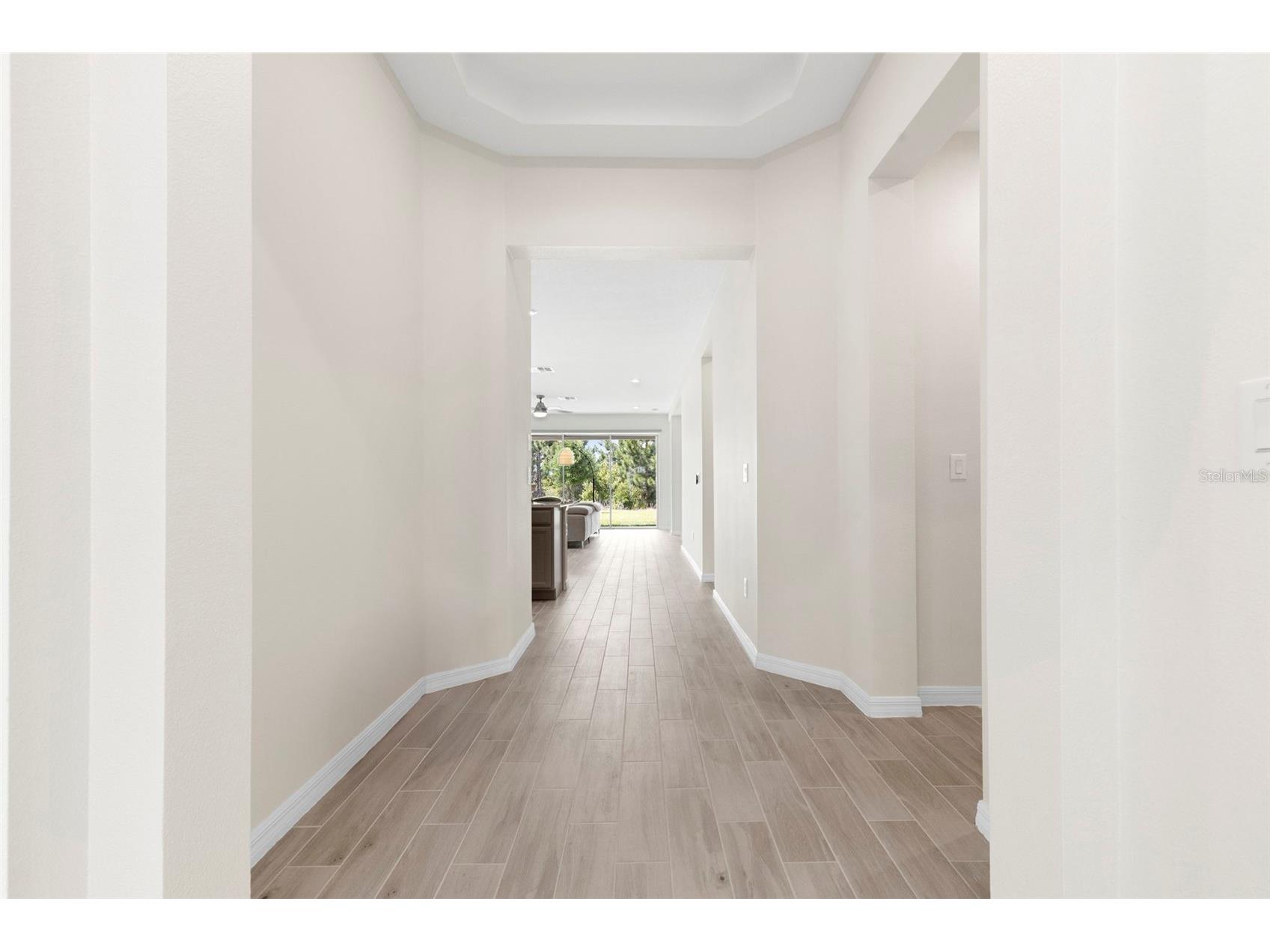33410 Castaway Loop Wesley Chapel FL 33543 TB8500902 image3
