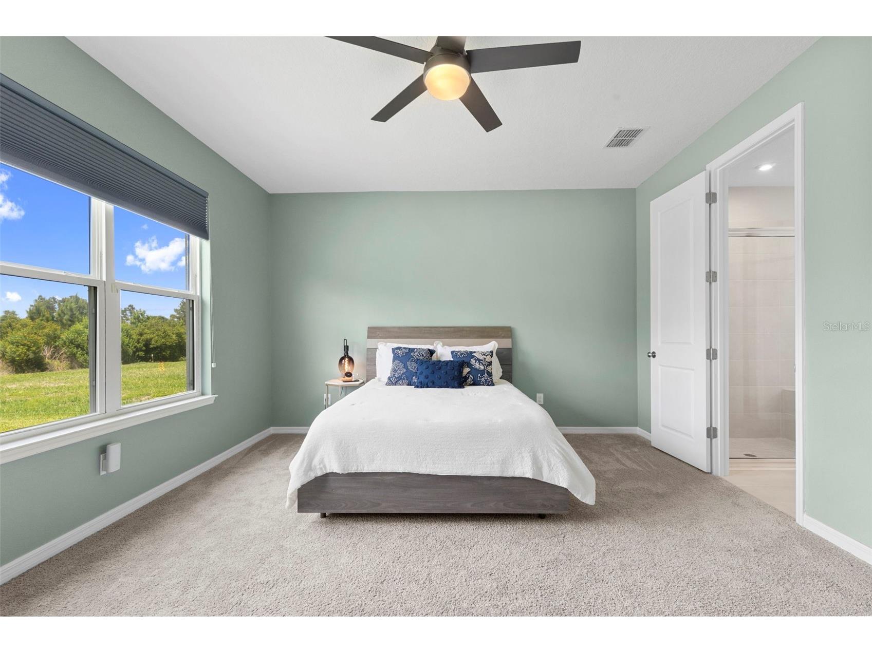 33410 Castaway Loop Wesley Chapel FL 33543 TB8500902 image33