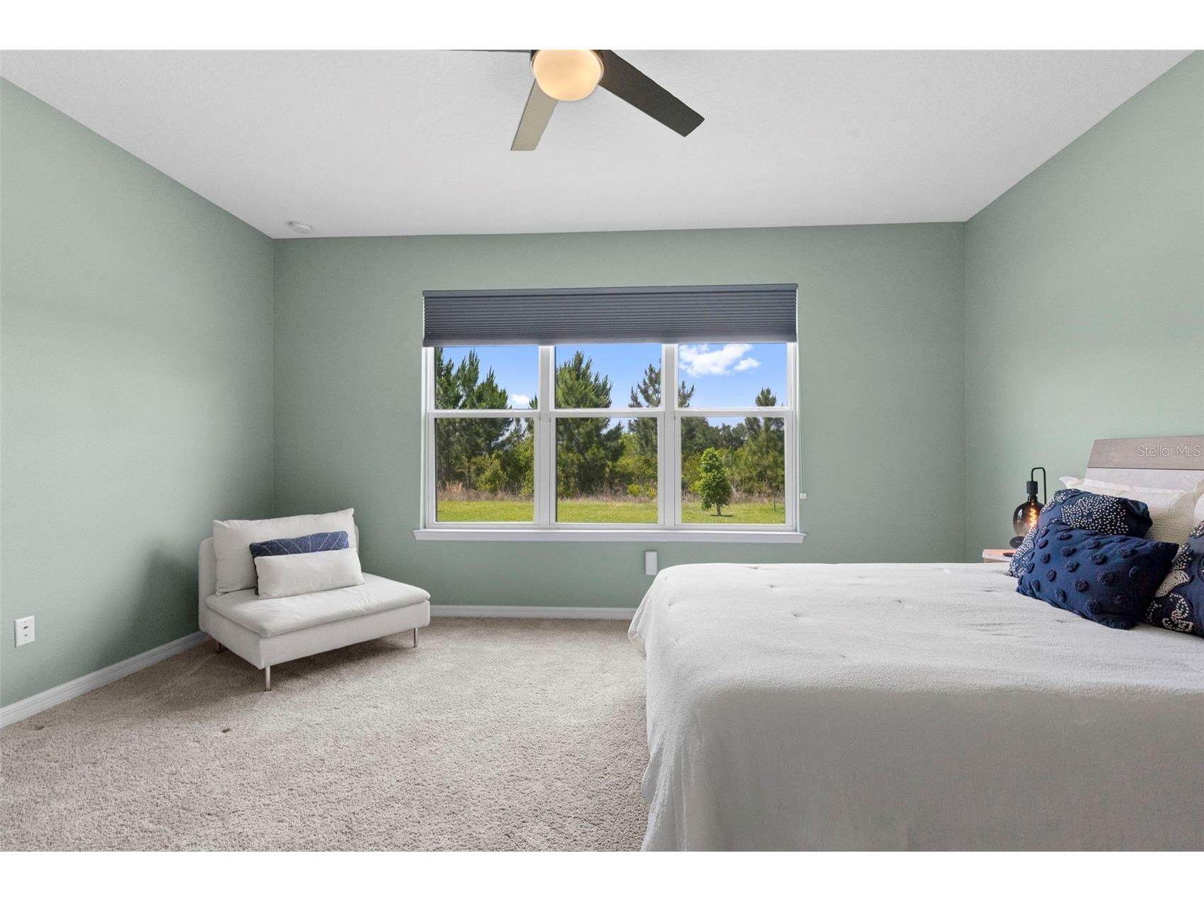 33410 Castaway Loop Wesley Chapel FL 33543 TB8500902 image36