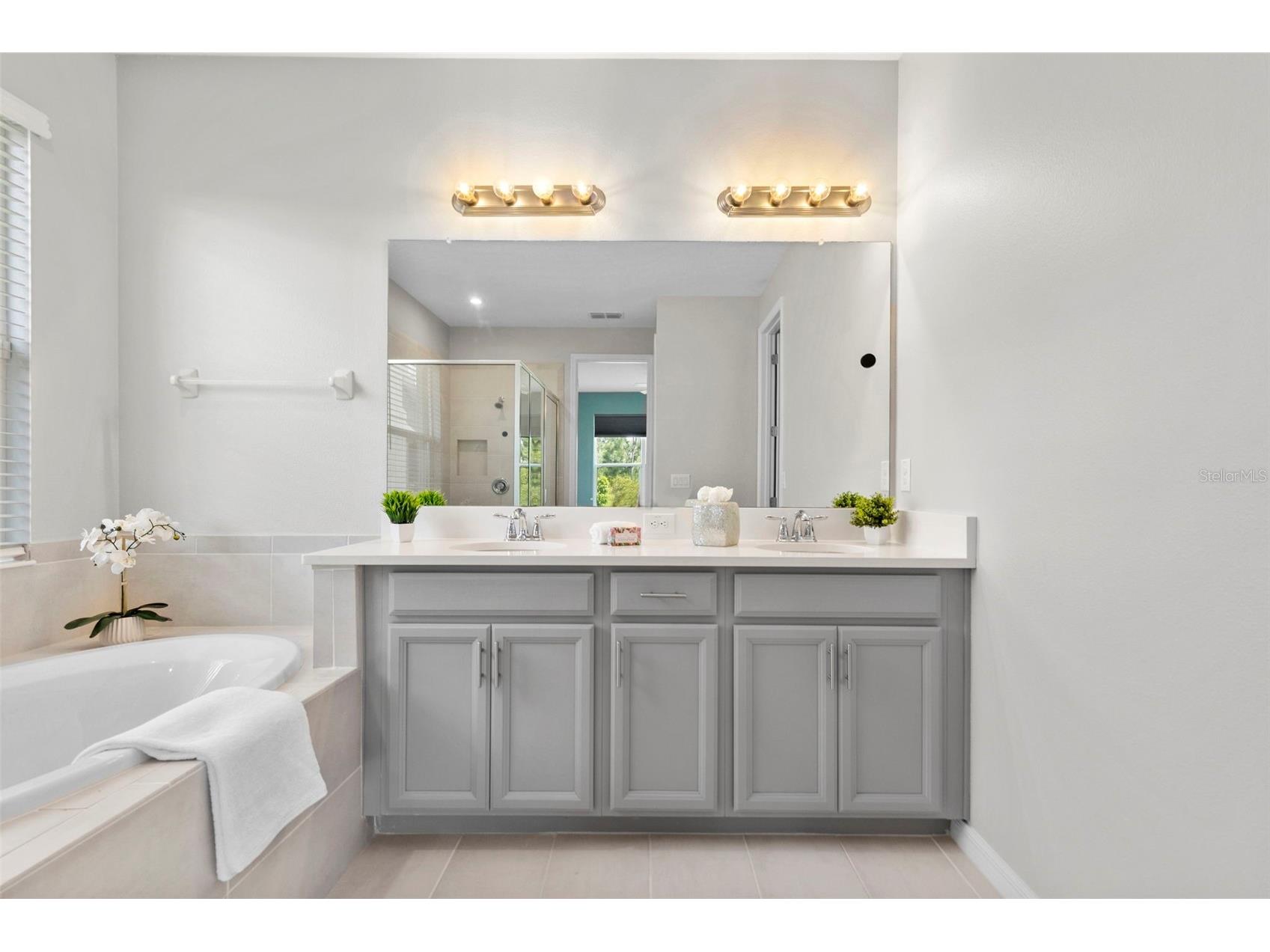 33410 Castaway Loop Wesley Chapel FL 33543 TB8500902 image37