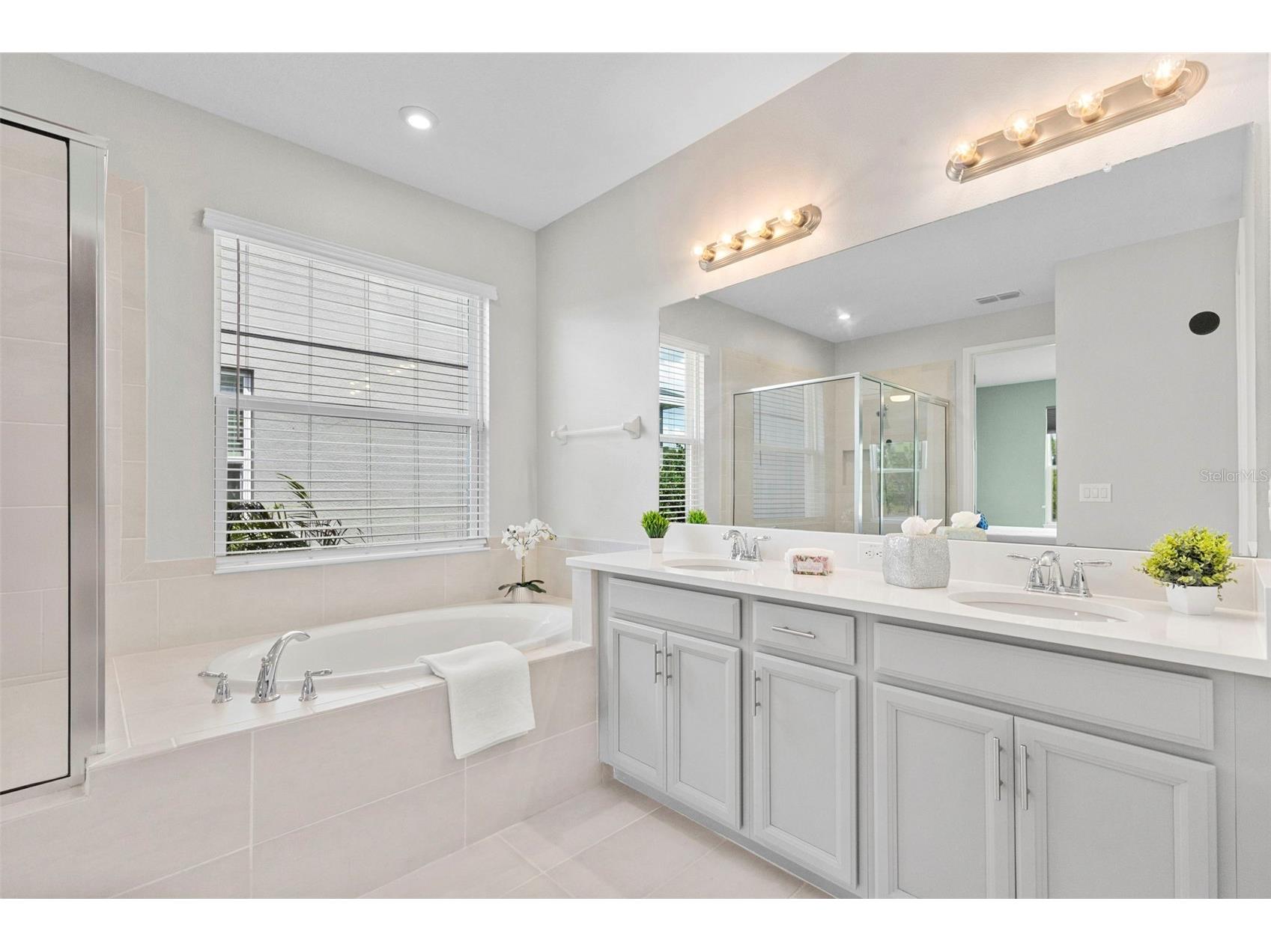 33410 Castaway Loop Wesley Chapel FL 33543 TB8500902 image38