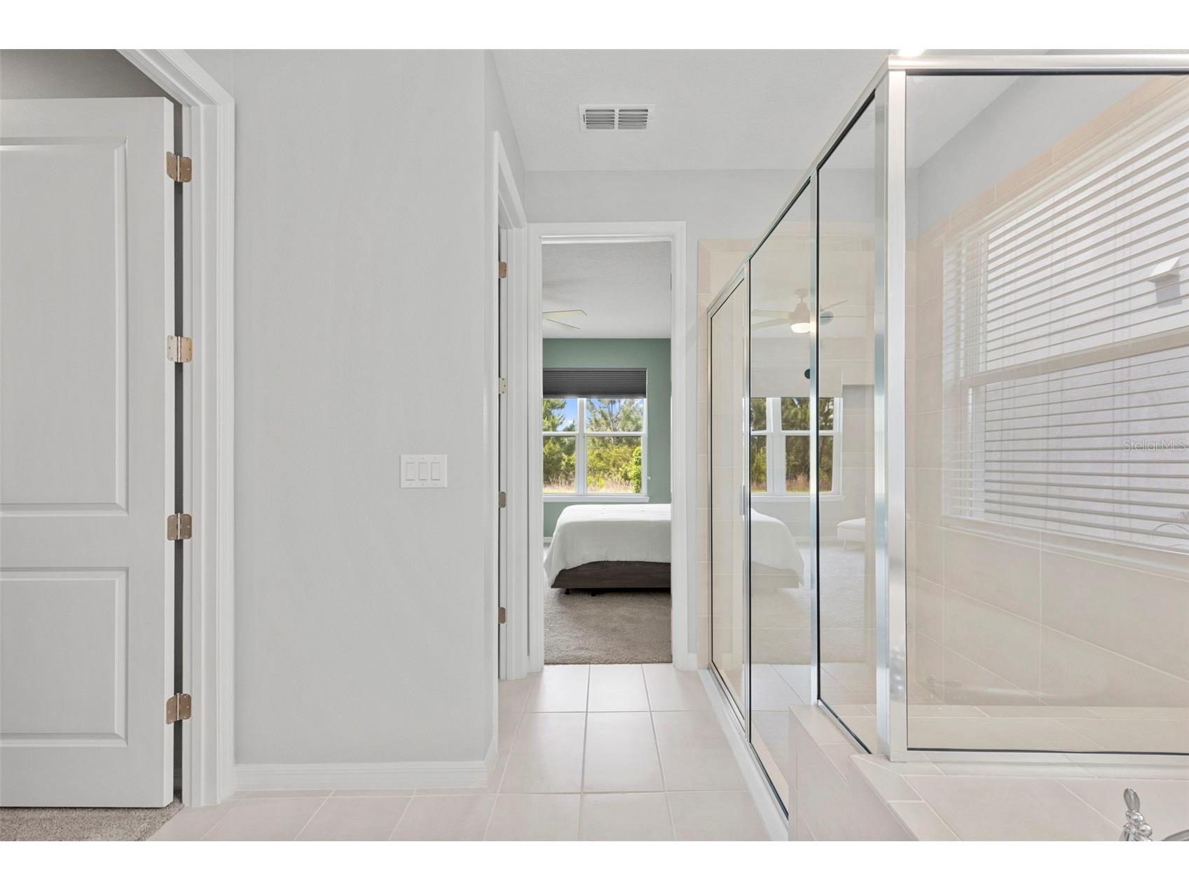 33410 Castaway Loop Wesley Chapel FL 33543 TB8500902 image41