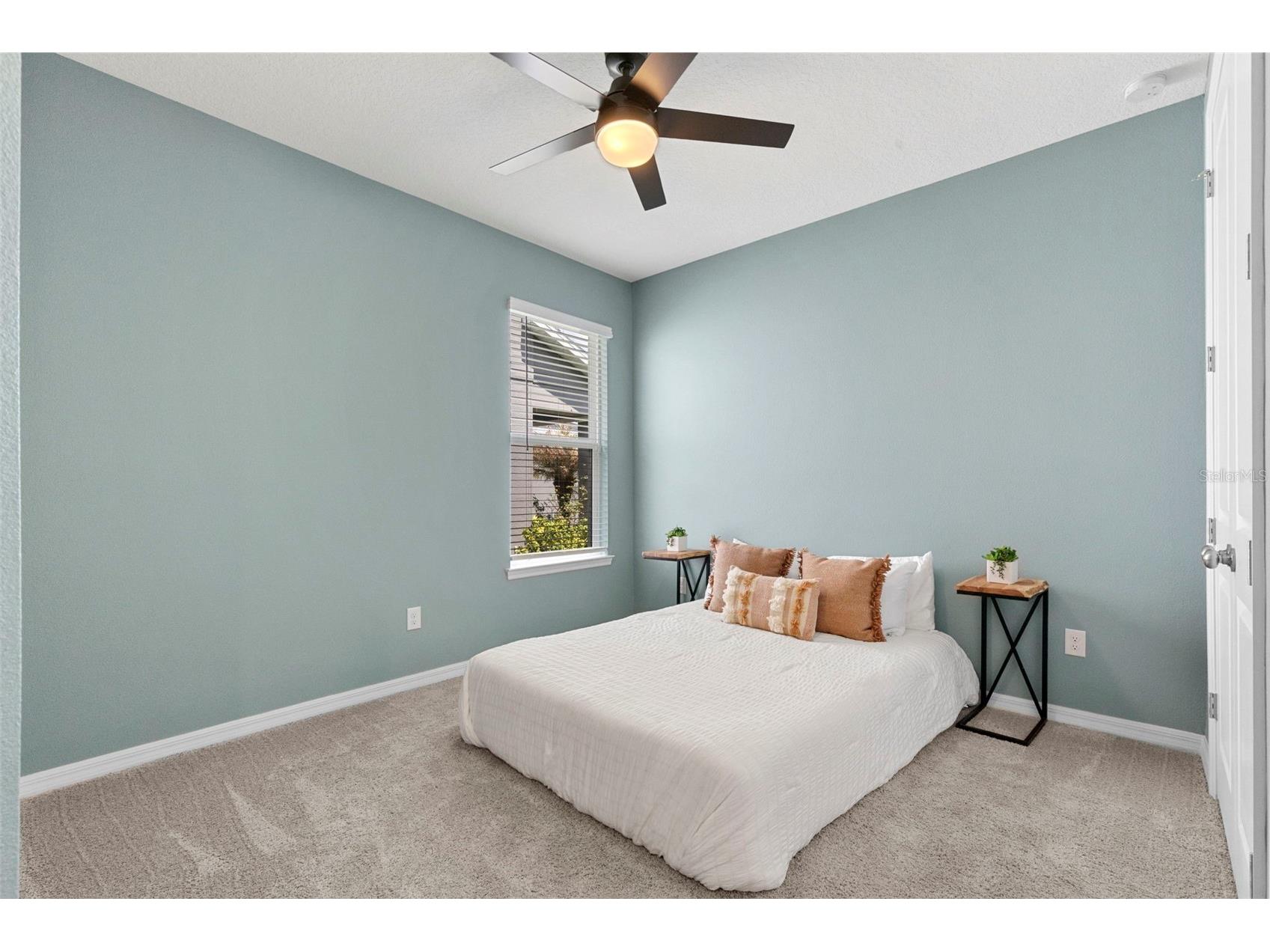 33410 Castaway Loop Wesley Chapel FL 33543 TB8500902 image46