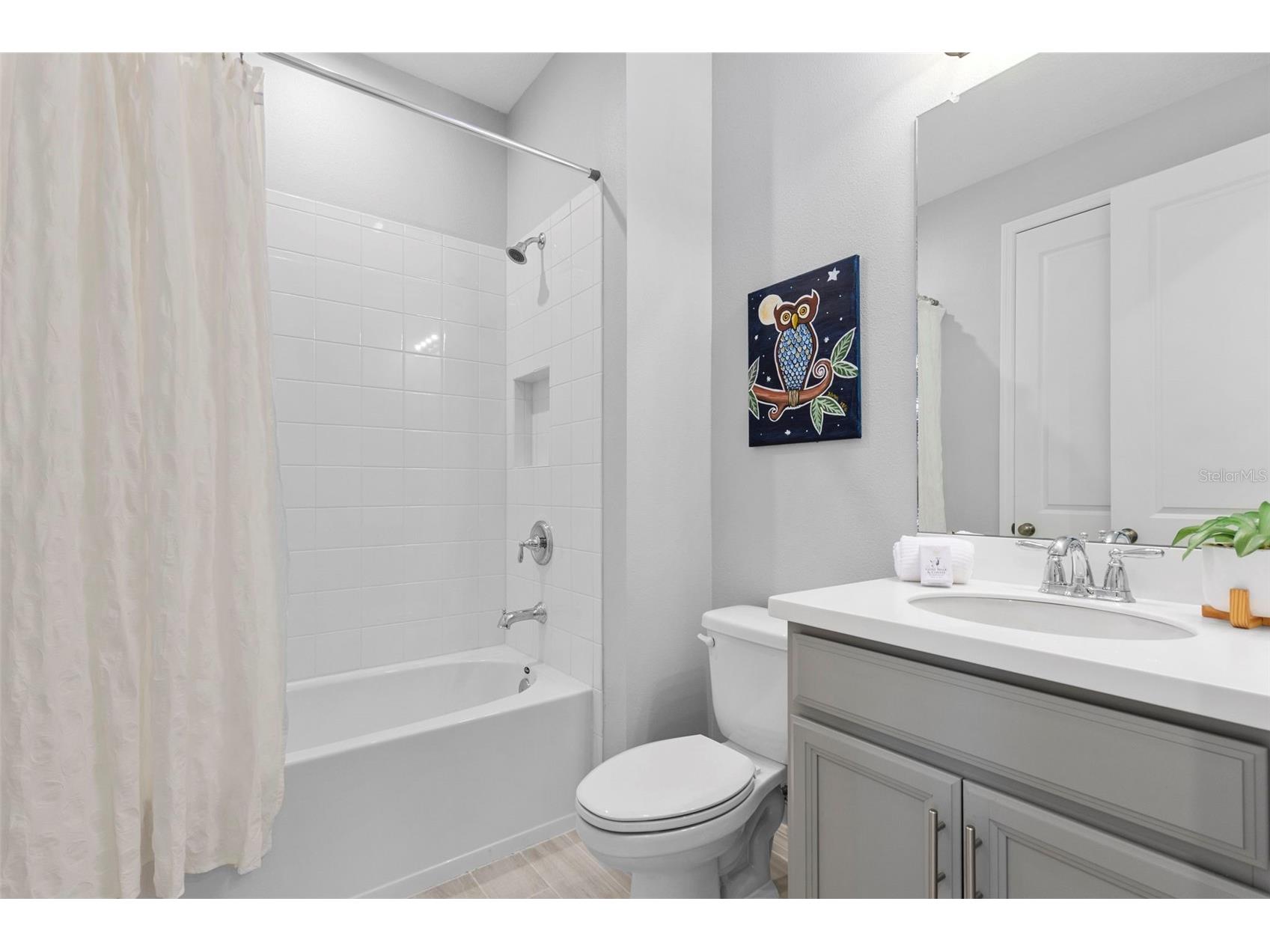 33410 Castaway Loop Wesley Chapel FL 33543 TB8500902 image48