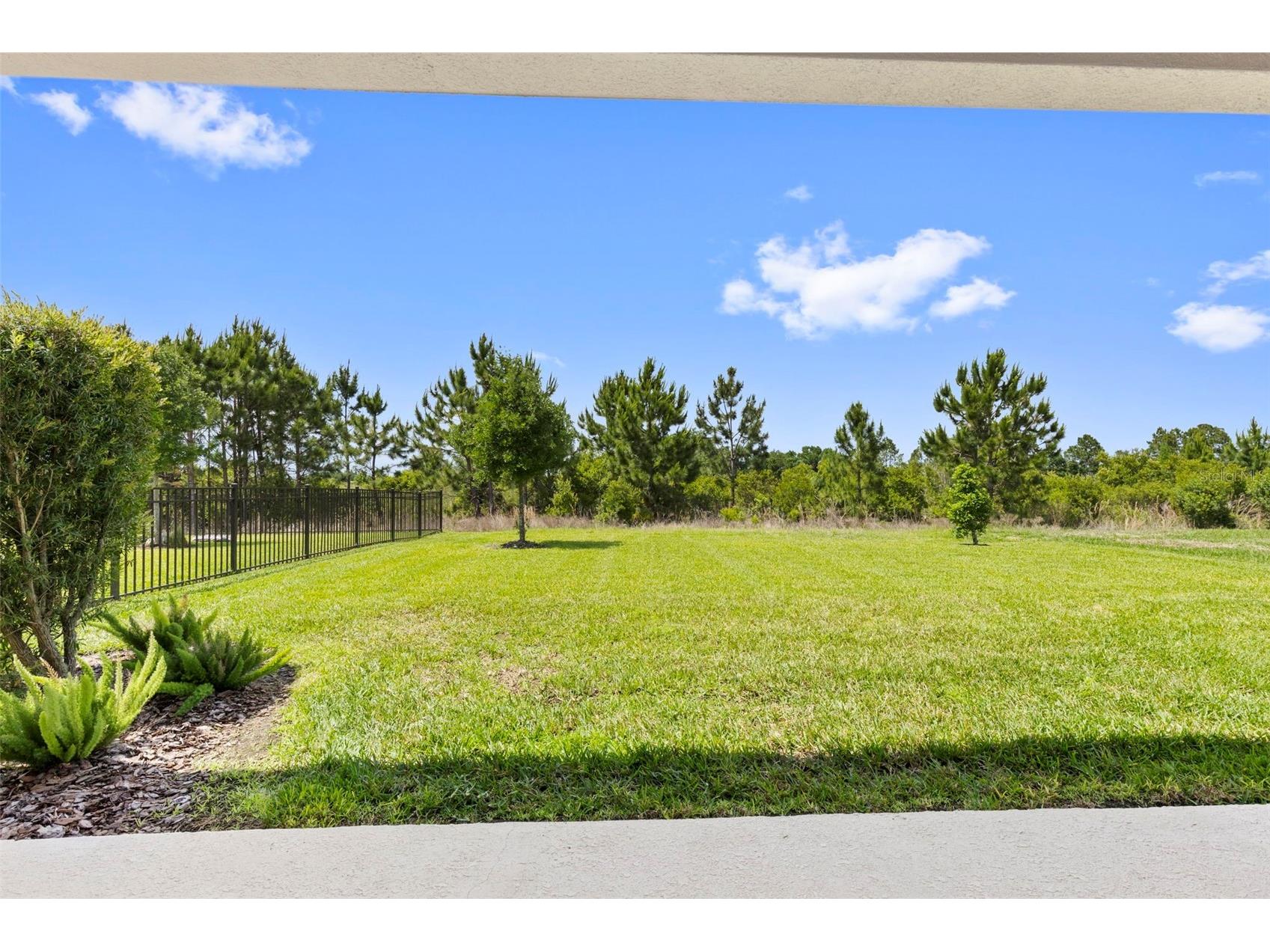 33410 Castaway Loop Wesley Chapel FL 33543 TB8500902 image56