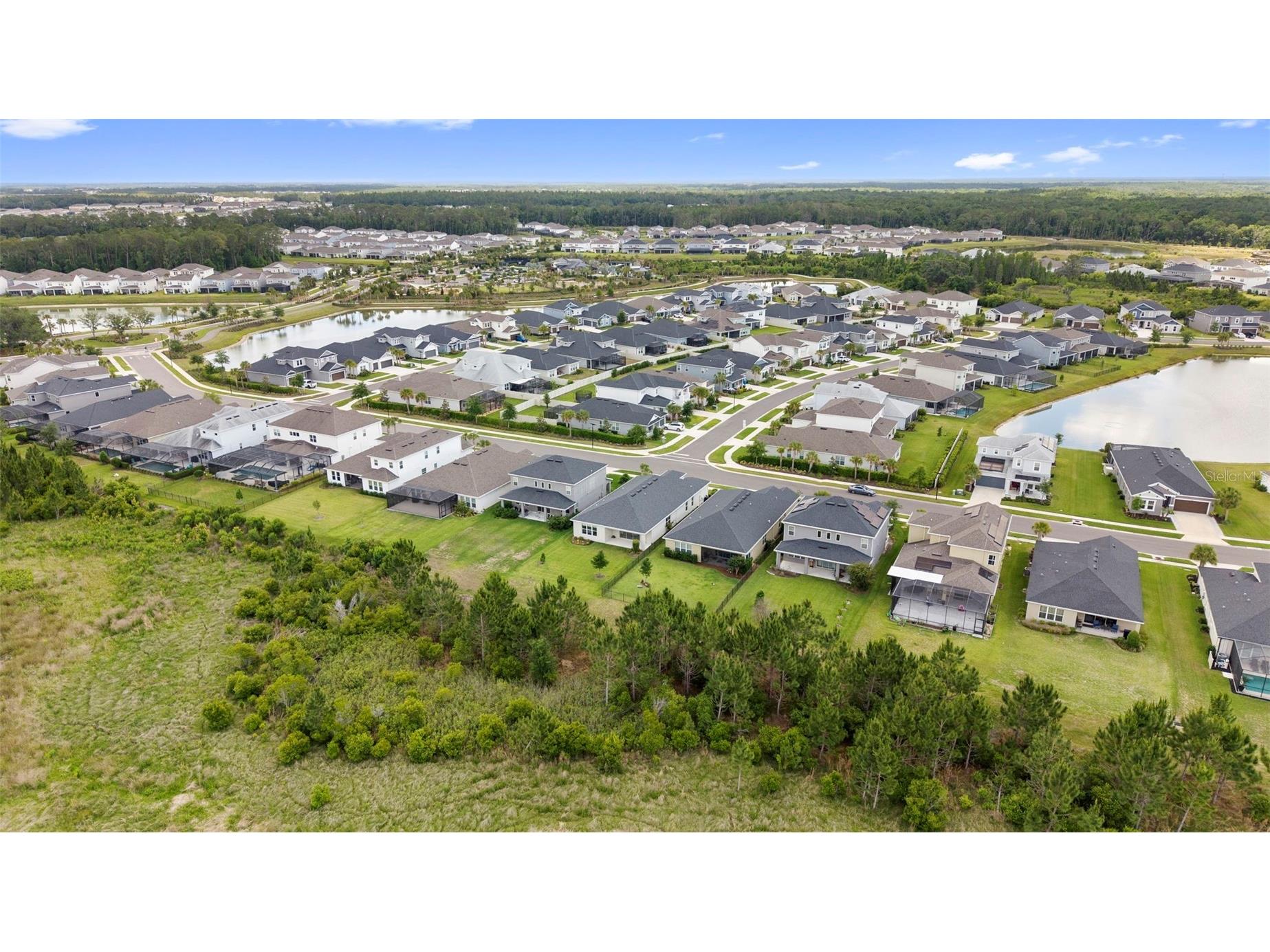 33410 Castaway Loop Wesley Chapel FL 33543 TB8500902 image81