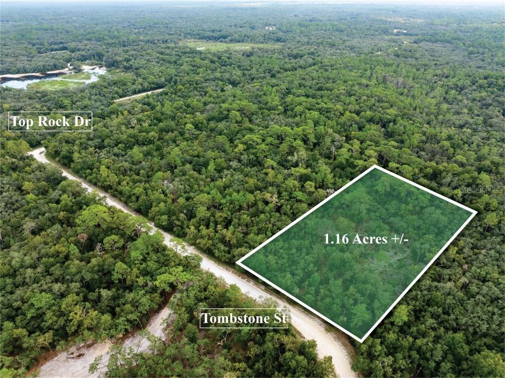 33410 Tombstone Street Webster FL 33597 TB8305202 image1