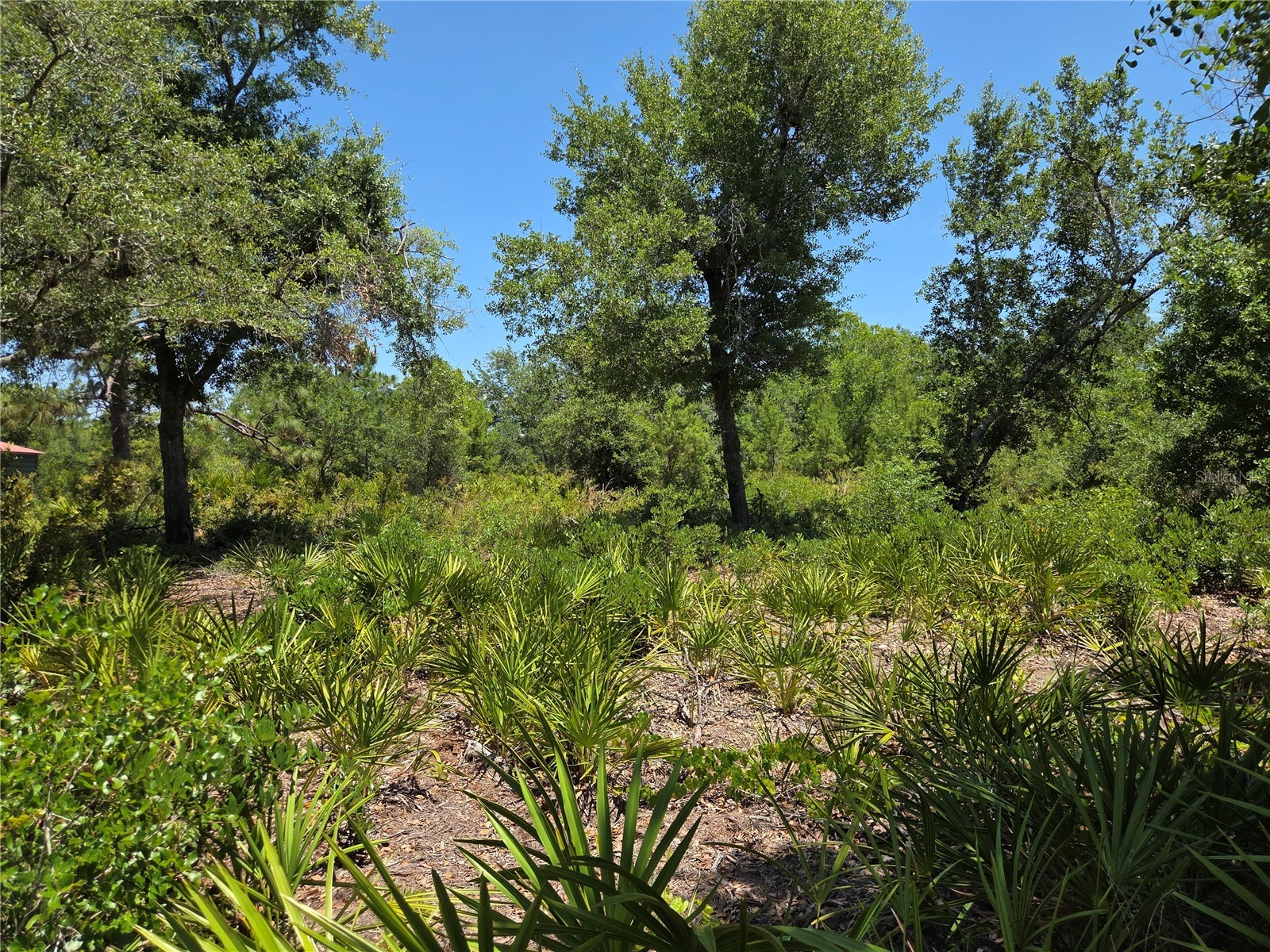 33410 Washington Loop Road Punta Gorda FL 33982 TB8515225 image1
