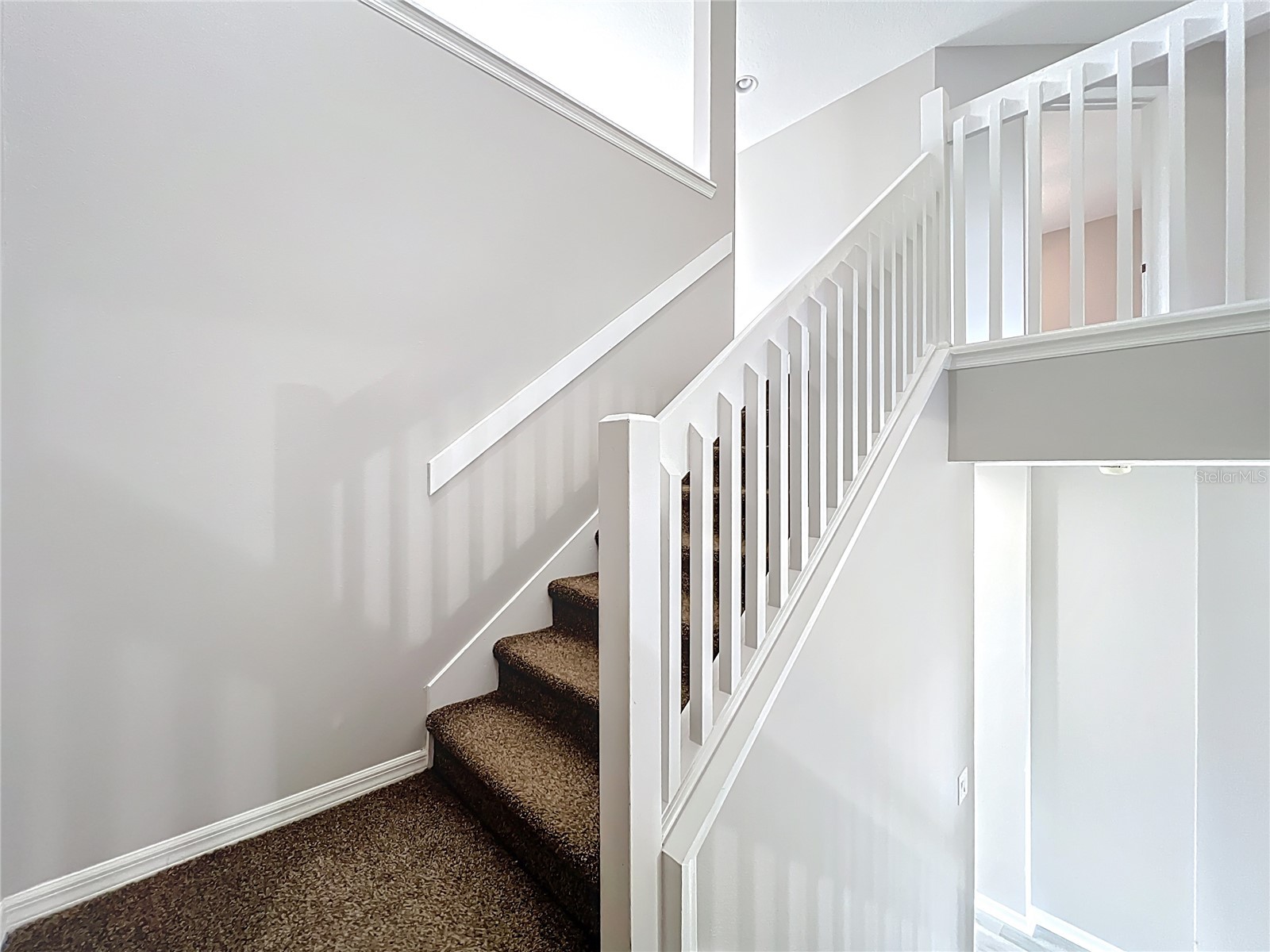 33411 Terragona Drive Sorrento FL 32776 O6376689 image34