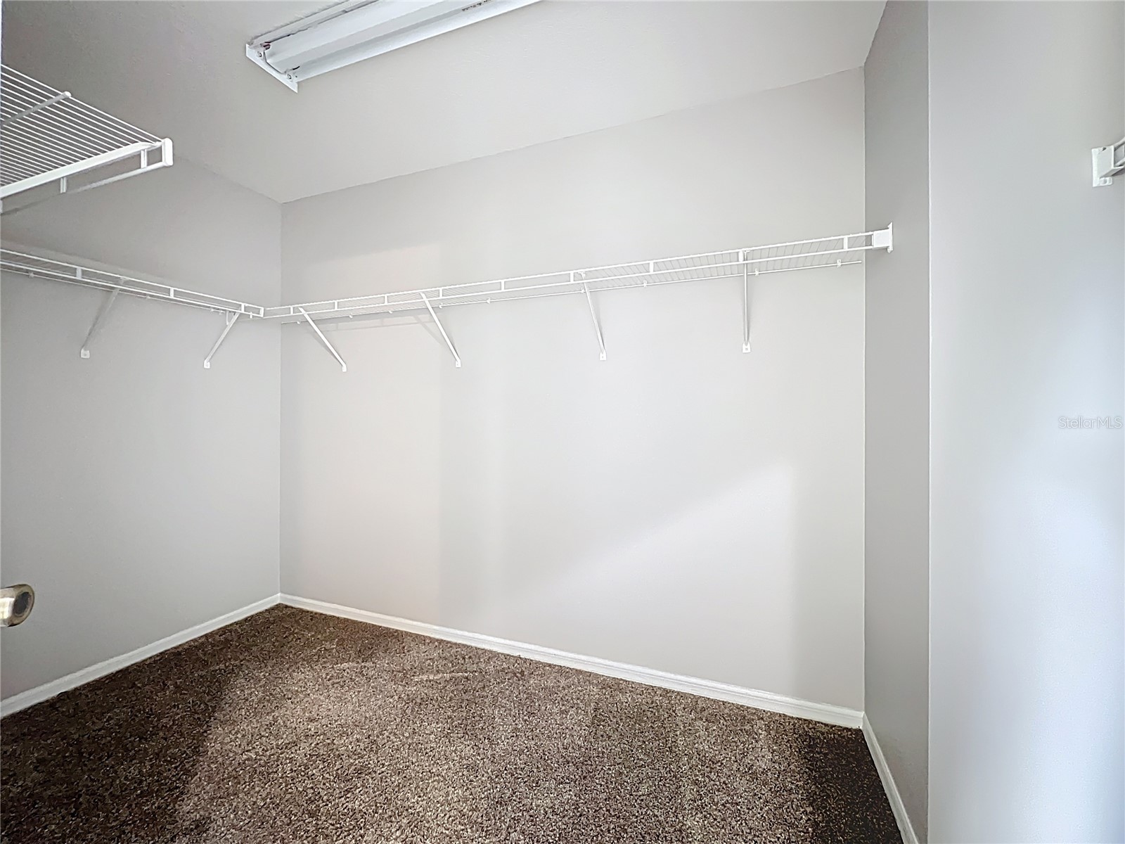 33411 Terragona Drive Sorrento FL 32776 O6376689 image48