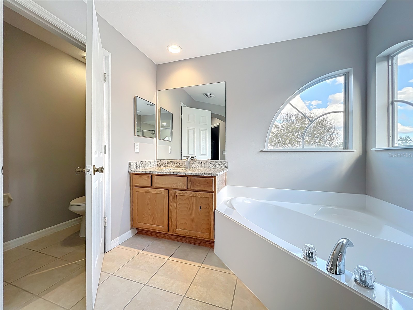 33411 Terragona Drive Sorrento FL 32776 O6376689 image52