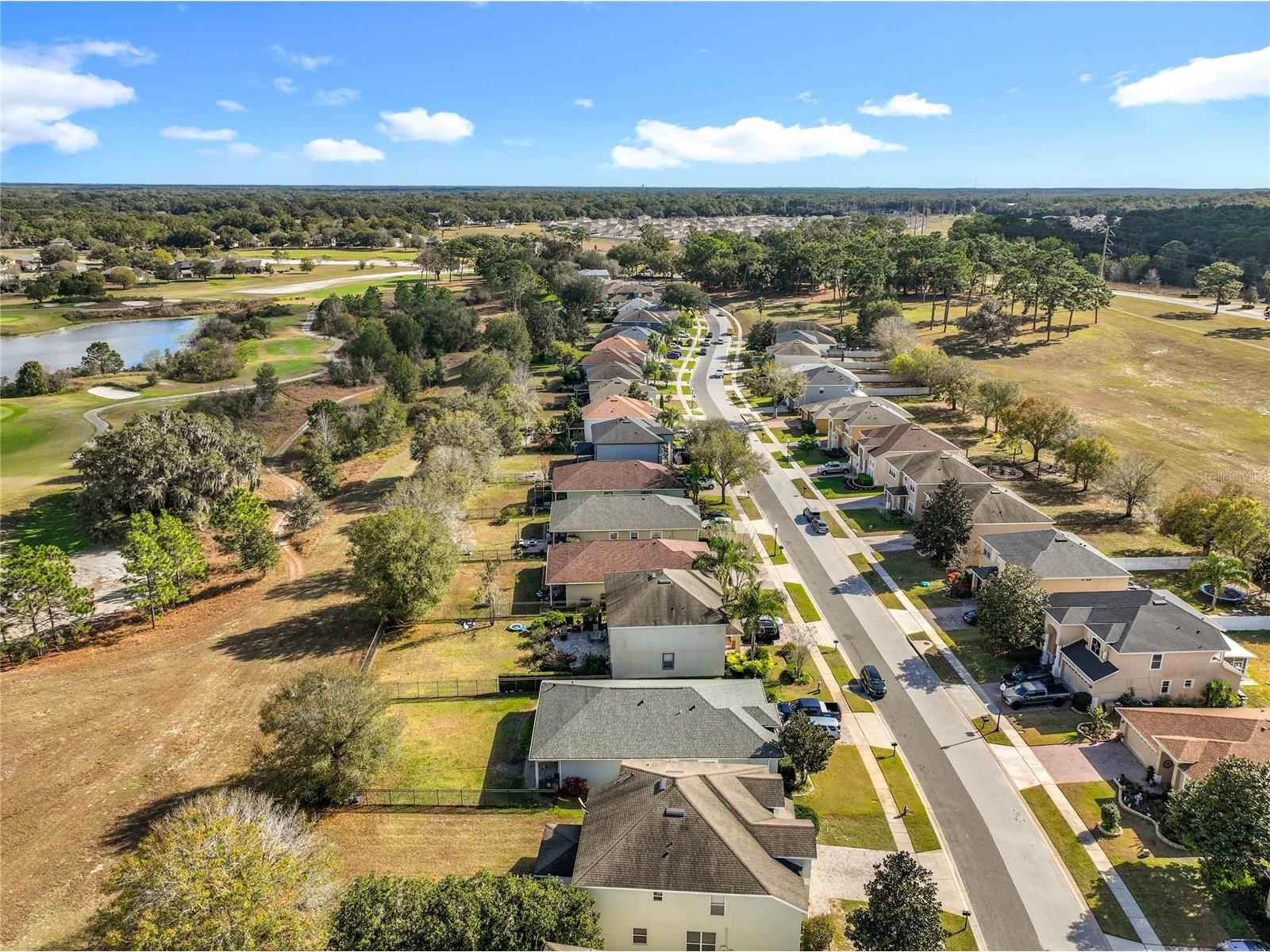 33411 Terragona Drive Sorrento FL 32776 O6376689 image63