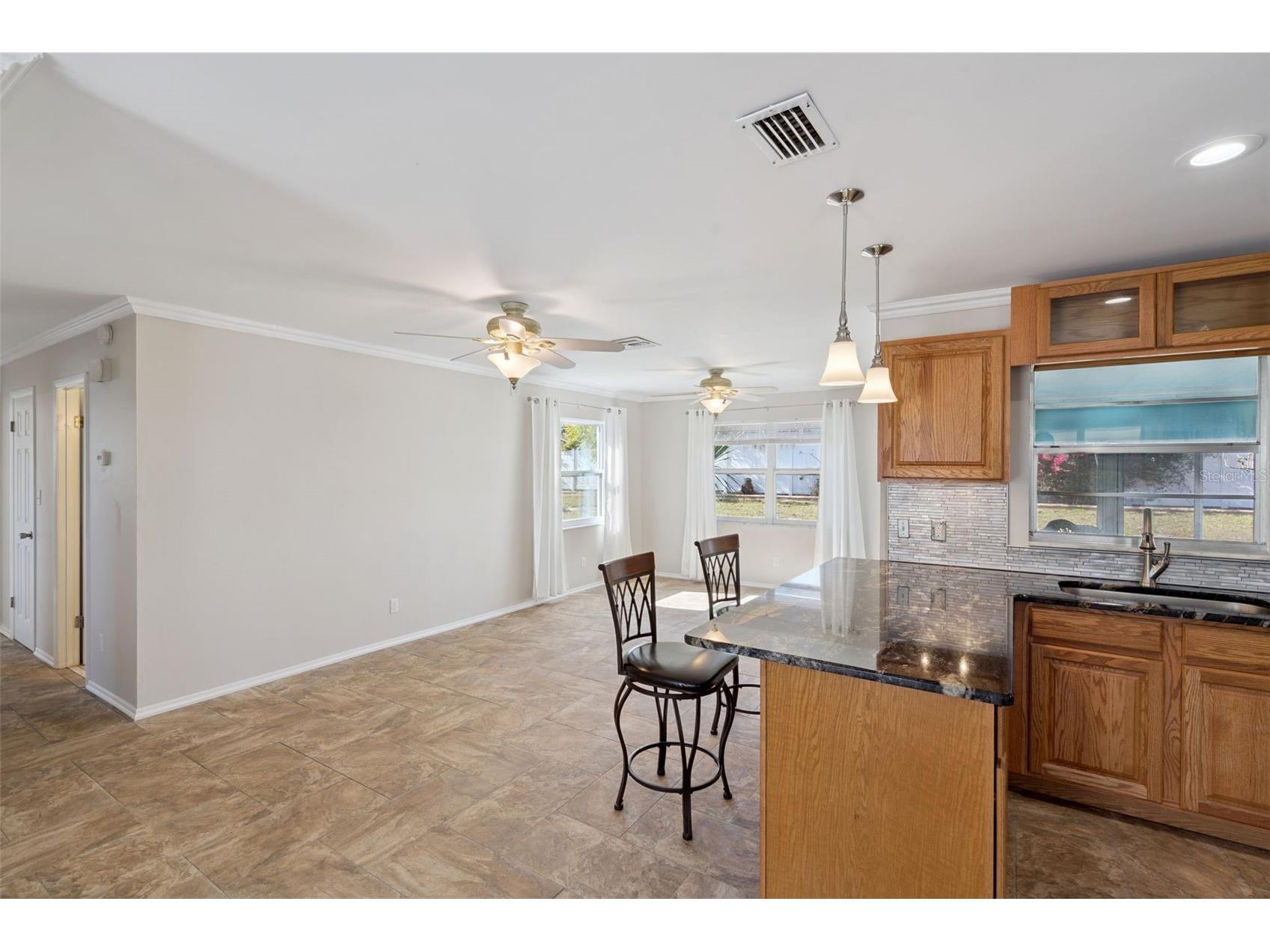 33415 Picciola Drive Fruitland Park FL 34731 G5105879 image9