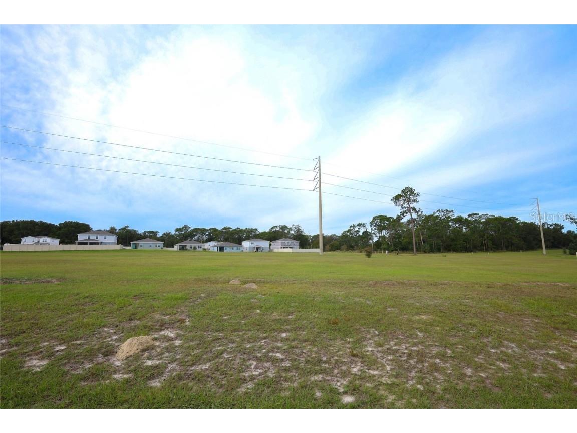 33417 Affirmed Way Sorrento FL 32776 O6343886 image33