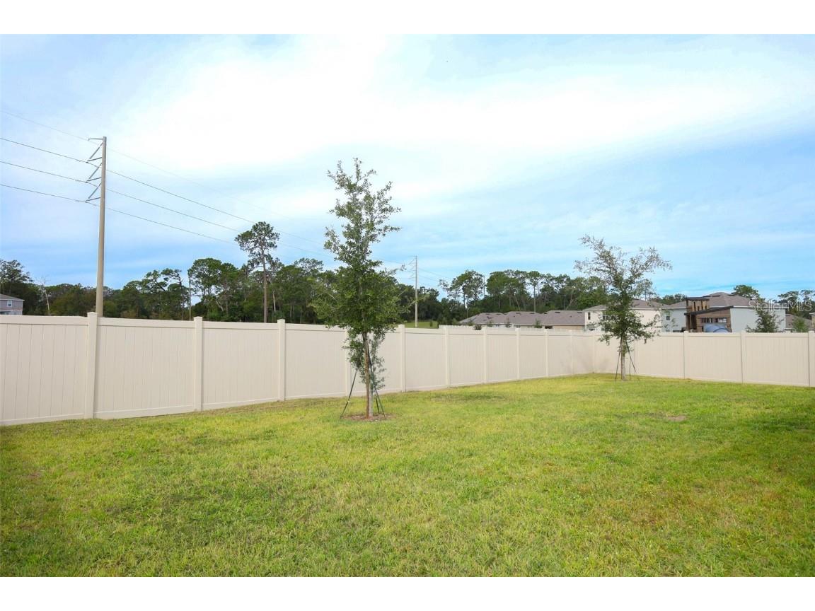 33417 Affirmed Way Sorrento FL 32776 O6343886 image34