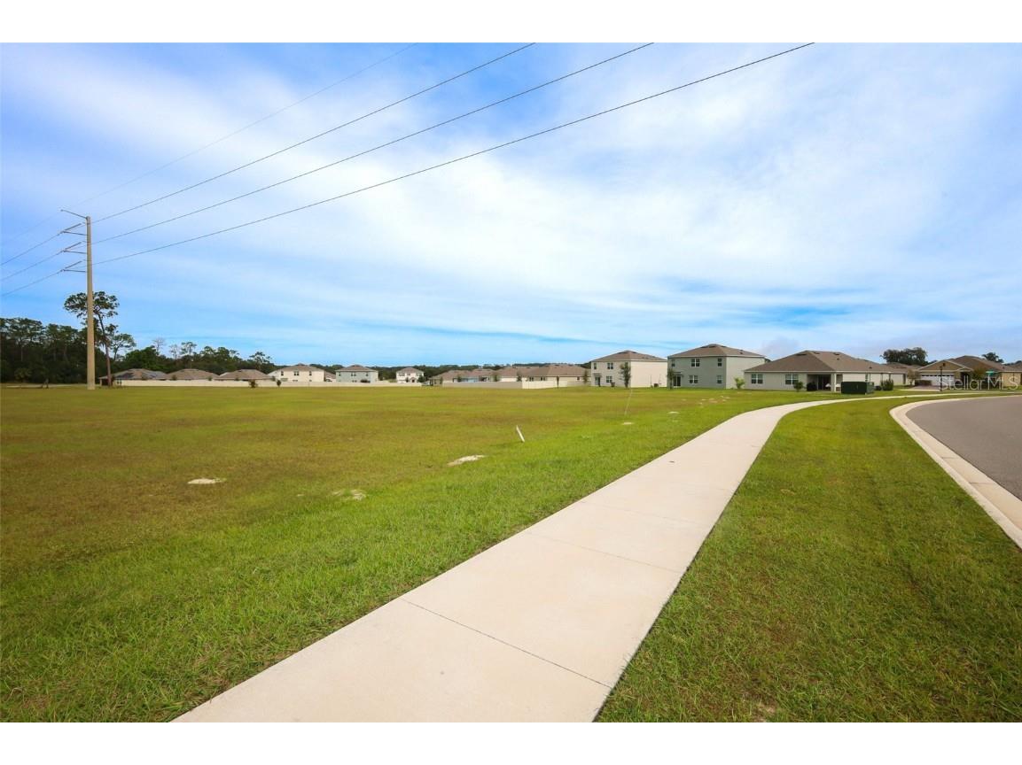 33417 Affirmed Way Sorrento FL 32776 O6343886 image39