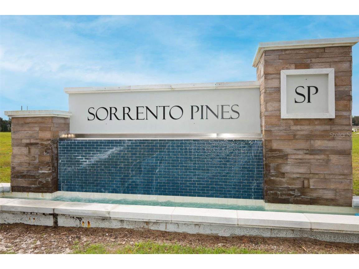 33417 Affirmed Way Sorrento FL 32776 O6343886 image41