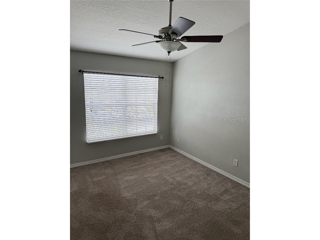 3342 Broken Bow Drive Land O Lakes FL 34639 TB8453917 image14