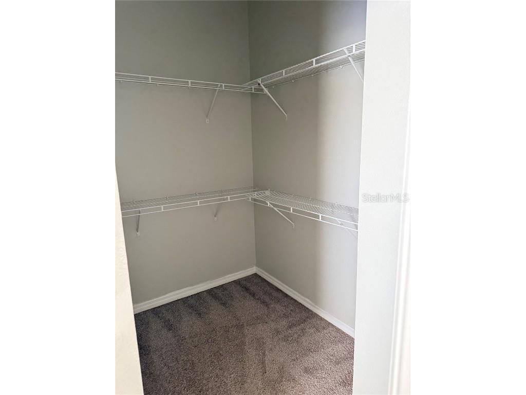 3342 Broken Bow Drive Land O Lakes FL 34639 TB8453917 image19