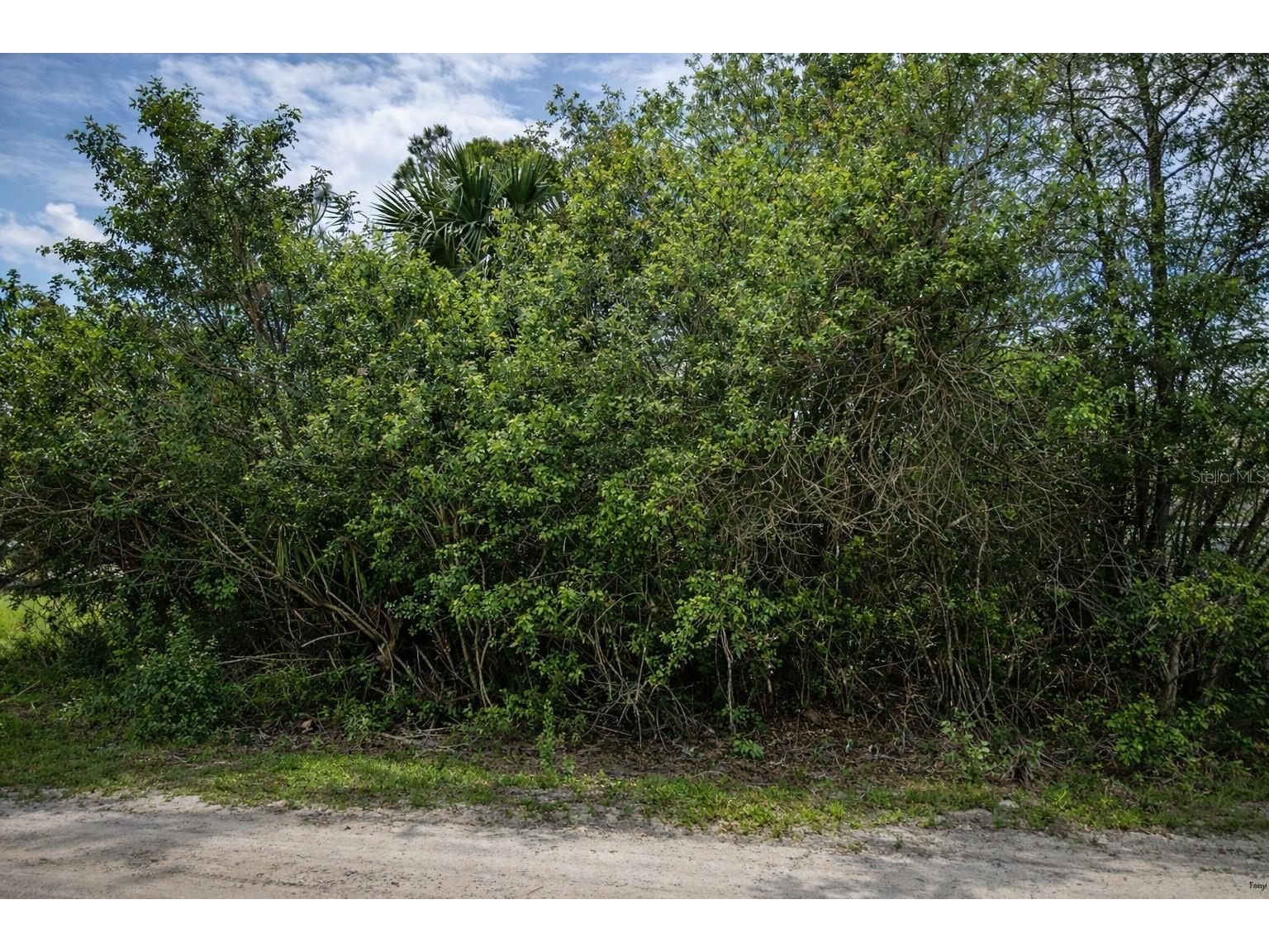 3342 Fitzpatrick Avenue SW Palm Bay FL 32908 S5147101 image3