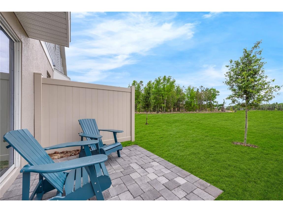 3342 Thicket Street Tavares FL 32778 O6315636 image4