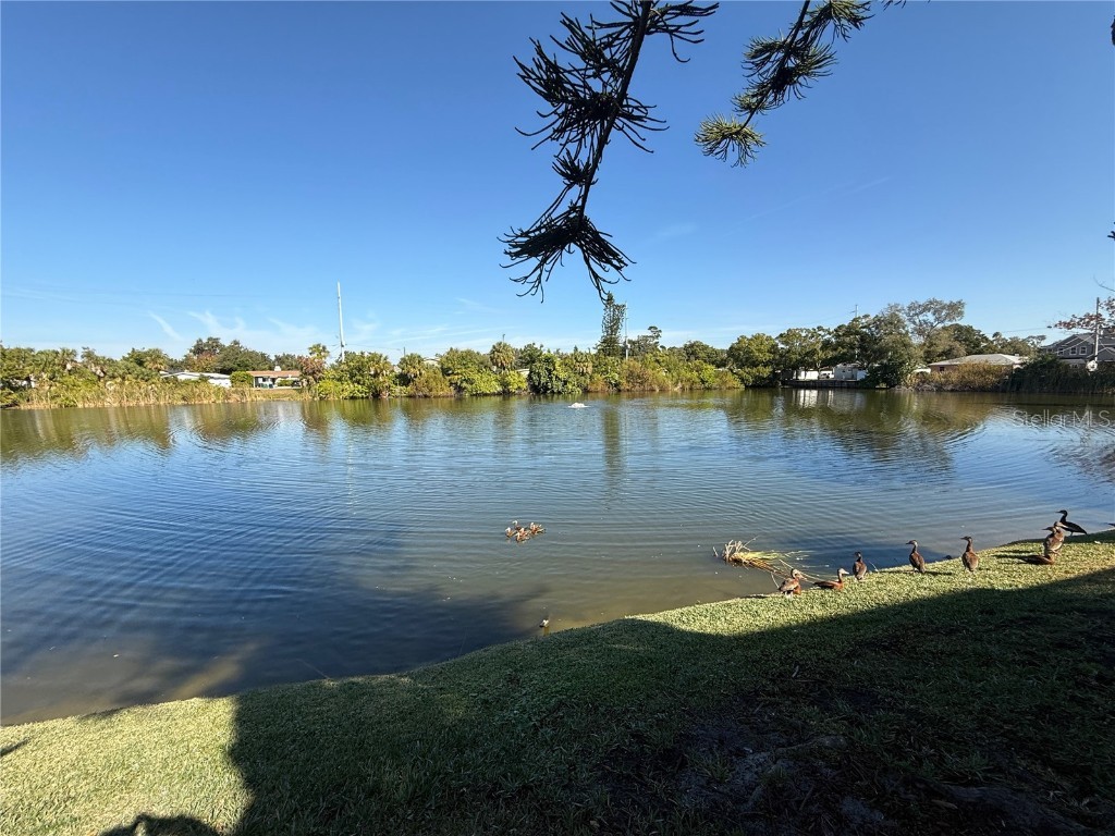 3342 W Wyoming Circle Tampa FL 33611 TB8450153 image3