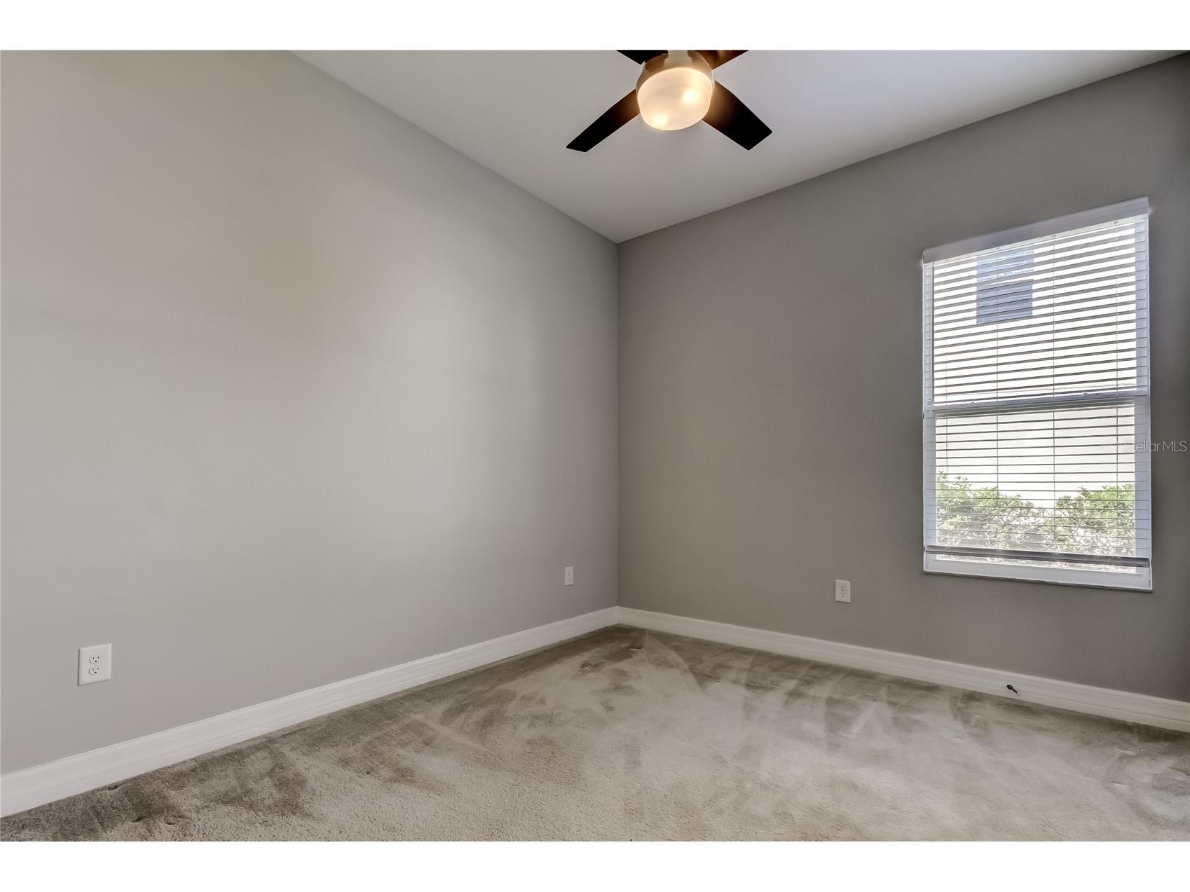 33423 Azalea Ridge Drive Wesley Chapel FL 33545 TB8468688 image16