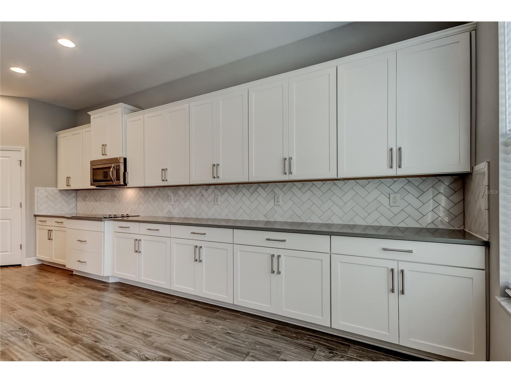 33423 Azalea Ridge Drive Wesley Chapel FL 33545 TB8468688 image57