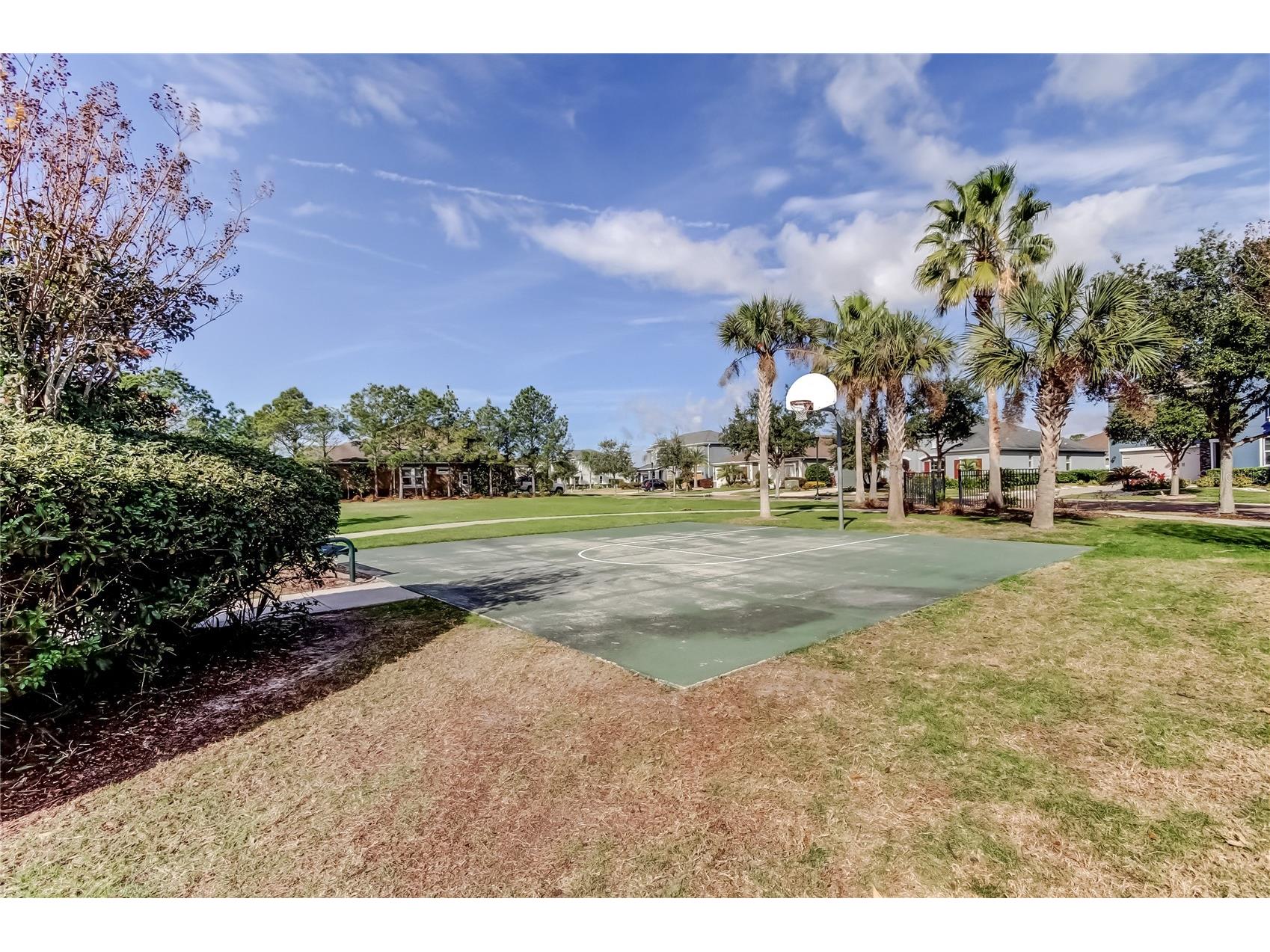 33423 Azalea Ridge Drive Wesley Chapel FL 33545 TB8468688 image93