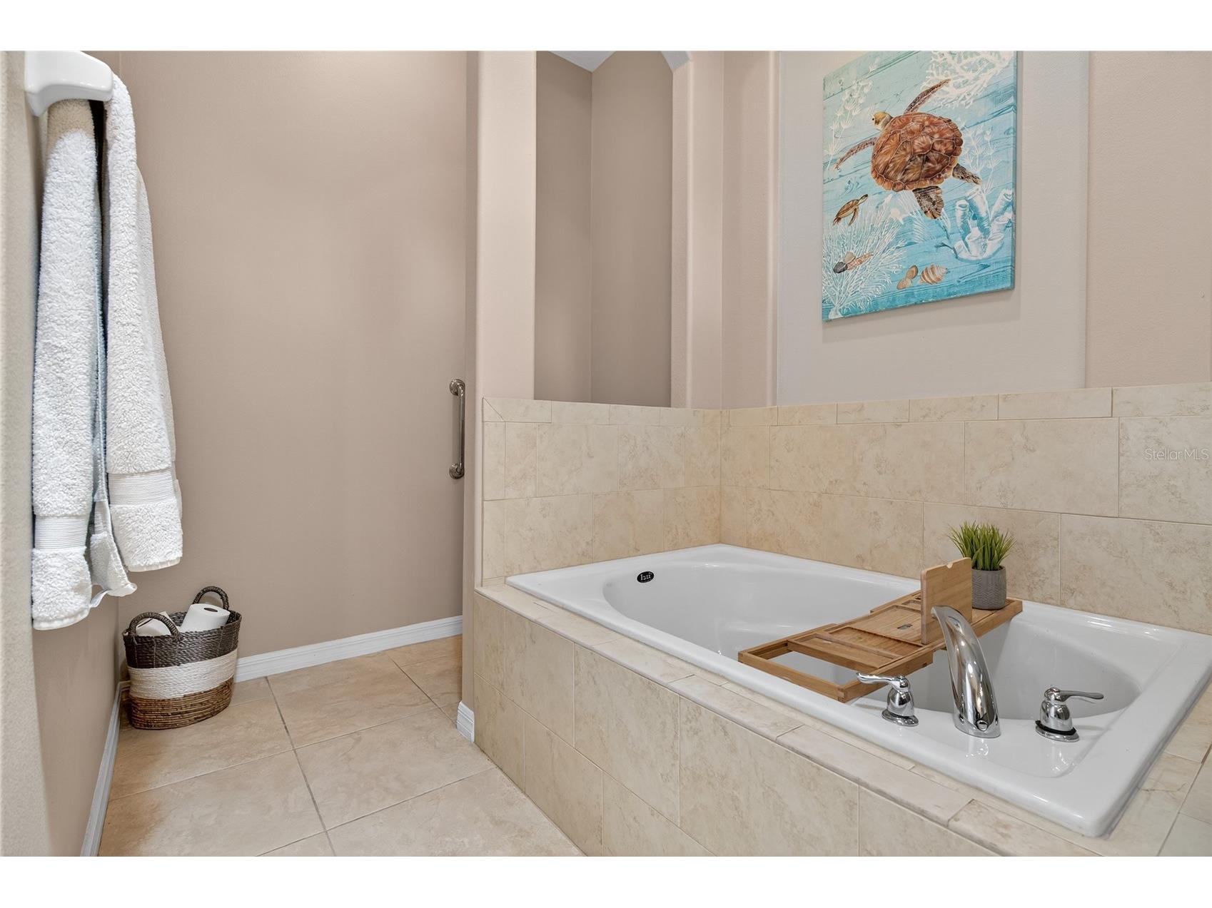 3343 Caterina Drives New Smyrna Beach FL 32168 NS1086781 image23