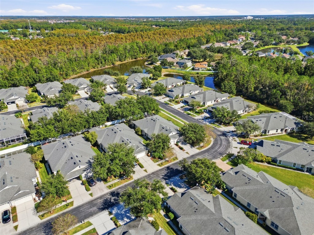 3343 Chapel Creek Circle Wesley Chapel FL 33544 TB8449556 image30