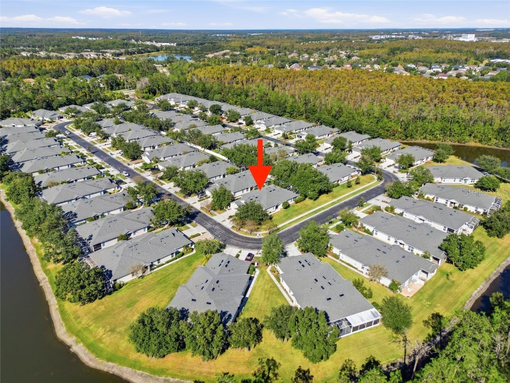 3343 Chapel Creek Circle Wesley Chapel FL 33544 TB8449556 image33