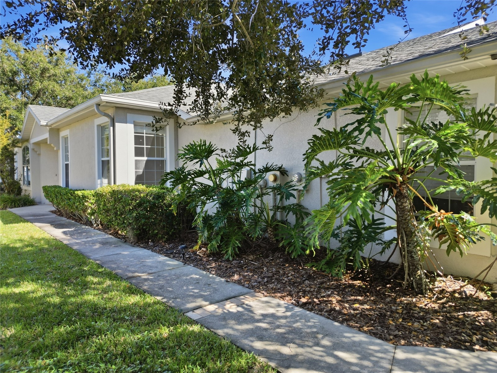 3343 Chapel Creek Circle Wesley Chapel FL 33544 TB8511911 image28