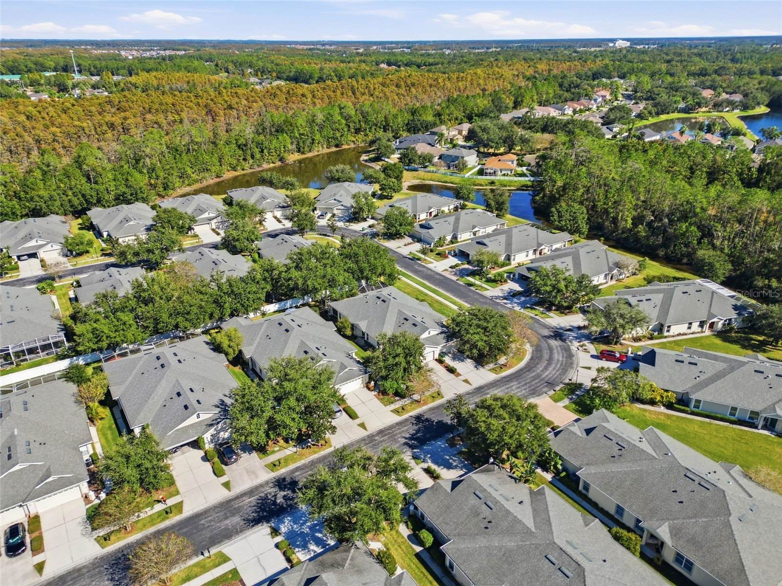 3343 Chapel Creek Circle Wesley Chapel FL 33544 TB8511911 image30