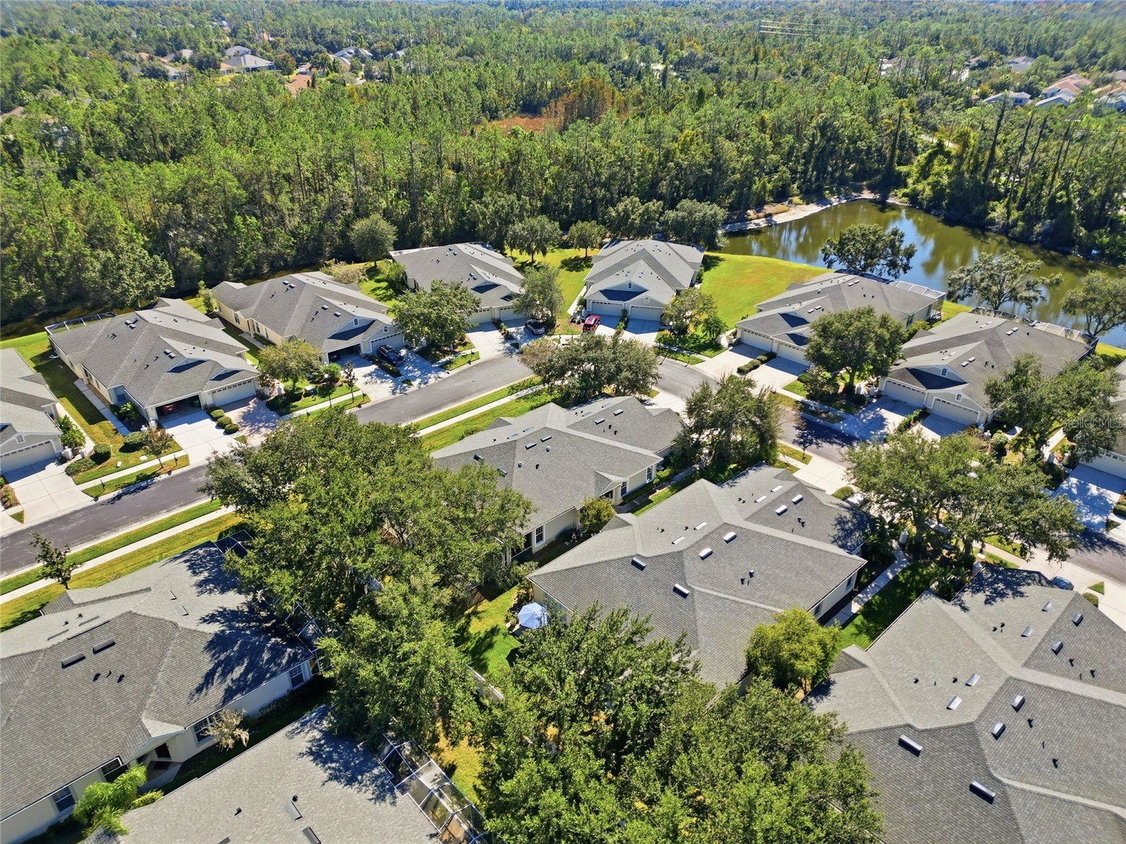 3343 Chapel Creek Circle Wesley Chapel FL 33544 TB8511911 image31