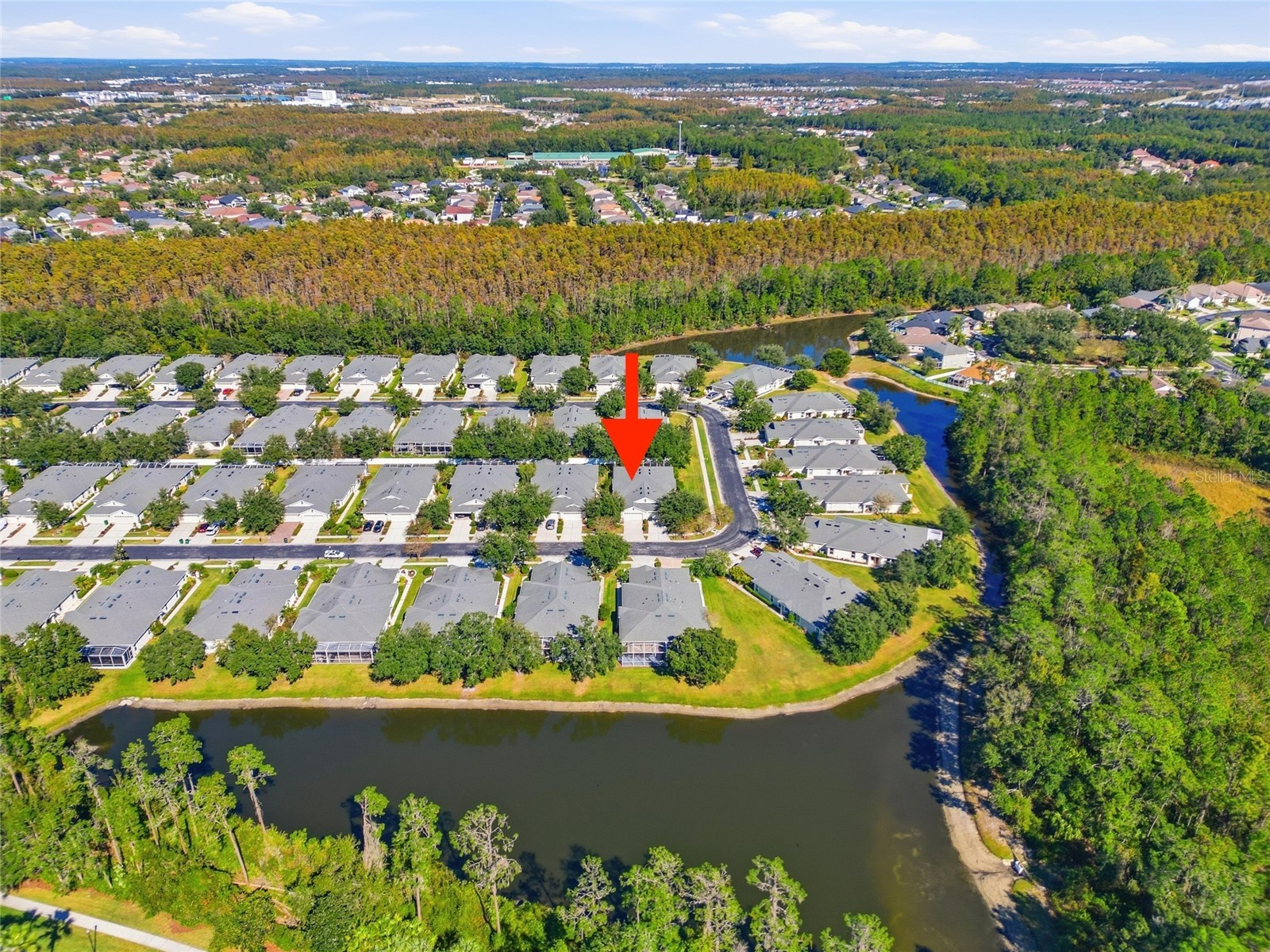 3343 Chapel Creek Circle Wesley Chapel FL 33544 TB8511911 image32