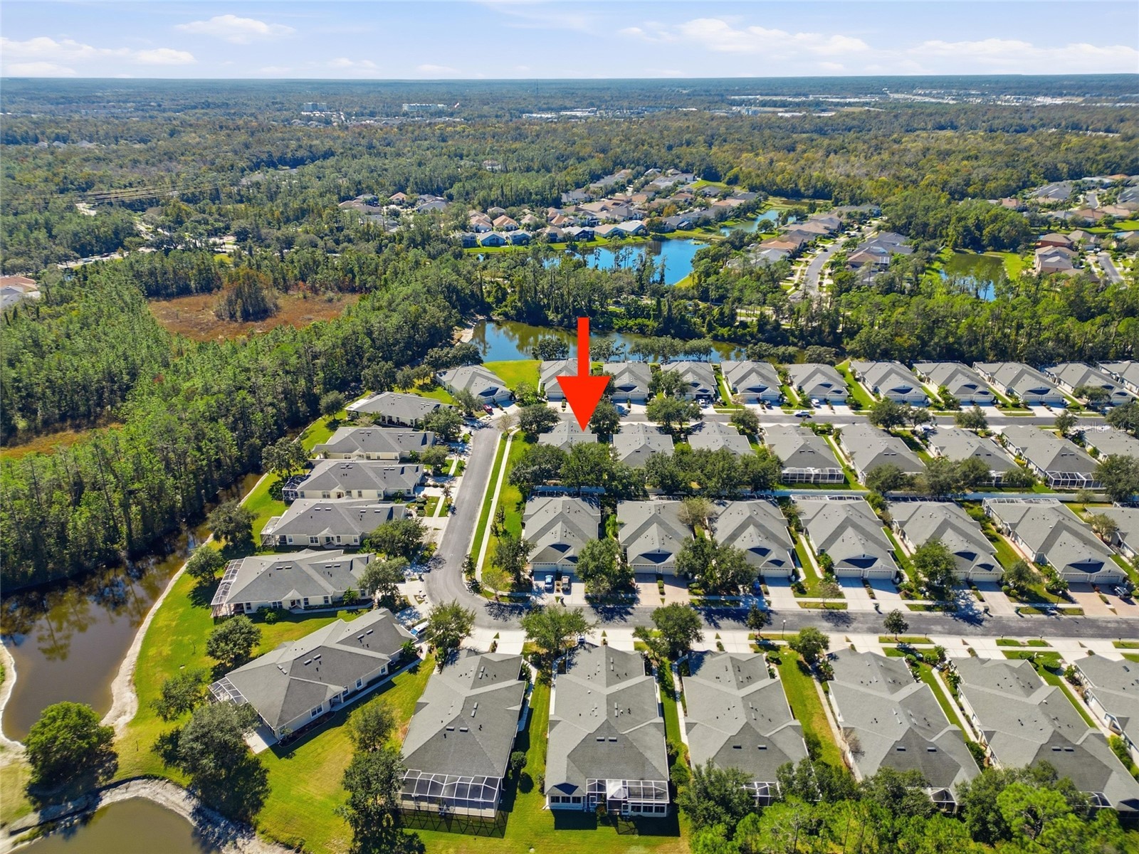 3343 Chapel Creek Circle Wesley Chapel FL 33544 TB8511911 image34